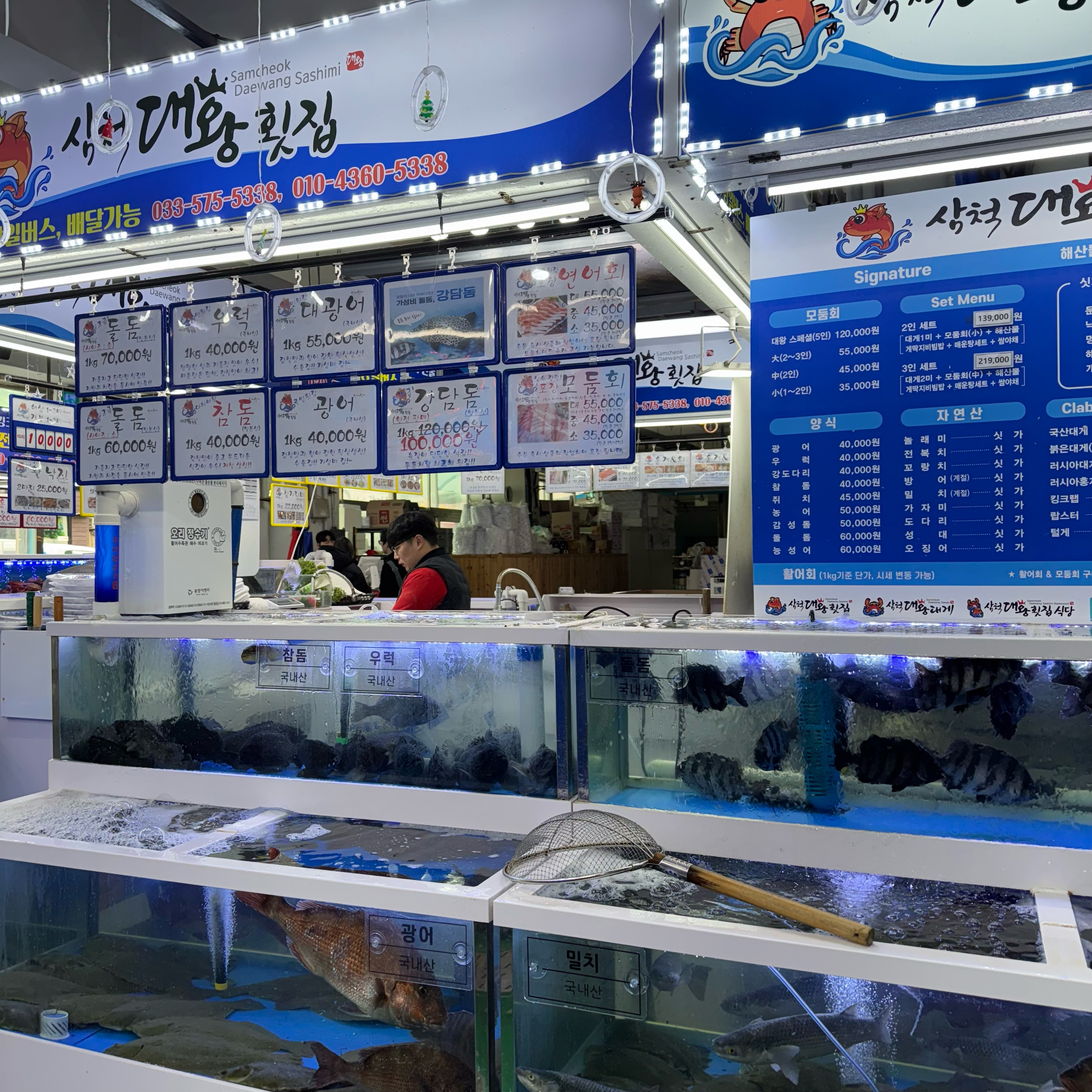 [삼척 맛집 삼척대왕횟집] 직접 가본 로컬 리뷰