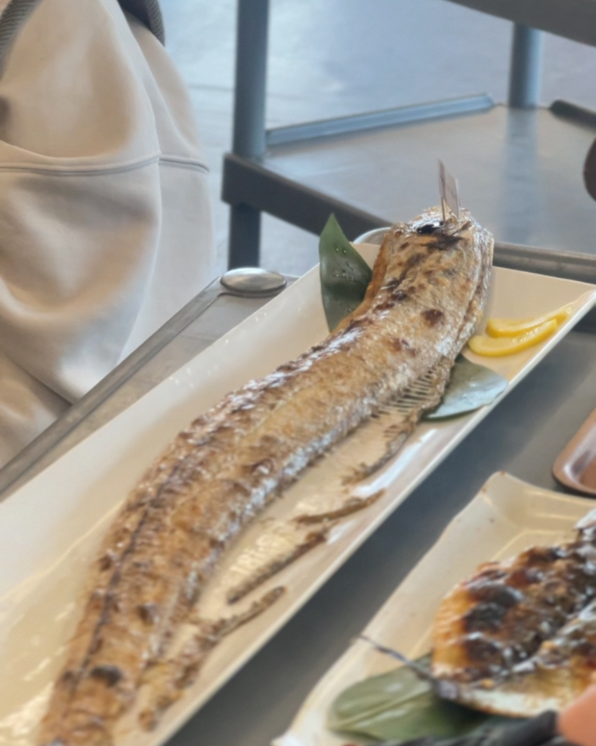 [애월 맛집 애월 갈치 암행어사] 직접 가본 로컬 리뷰