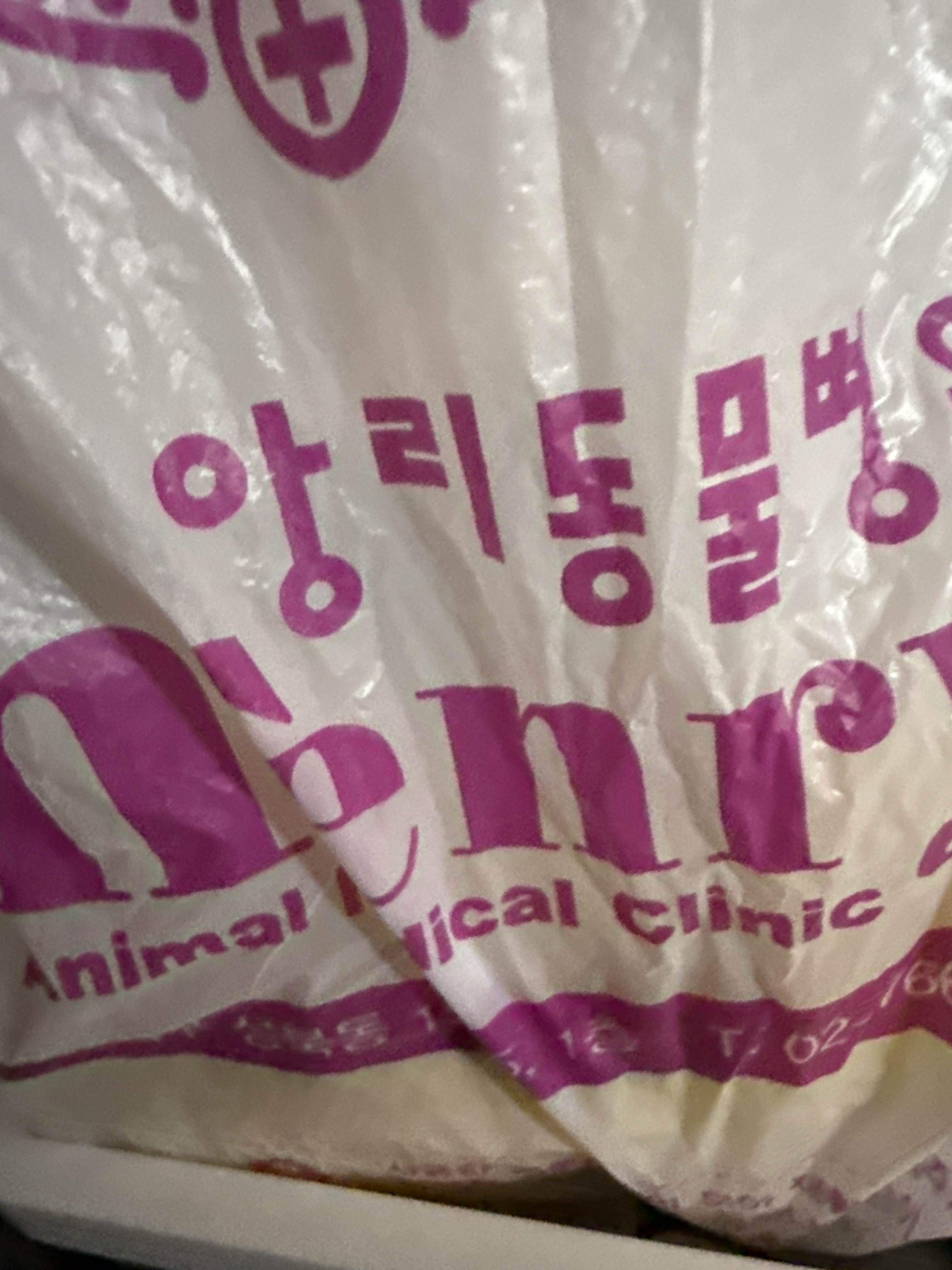 앙리동물병원 사진 3