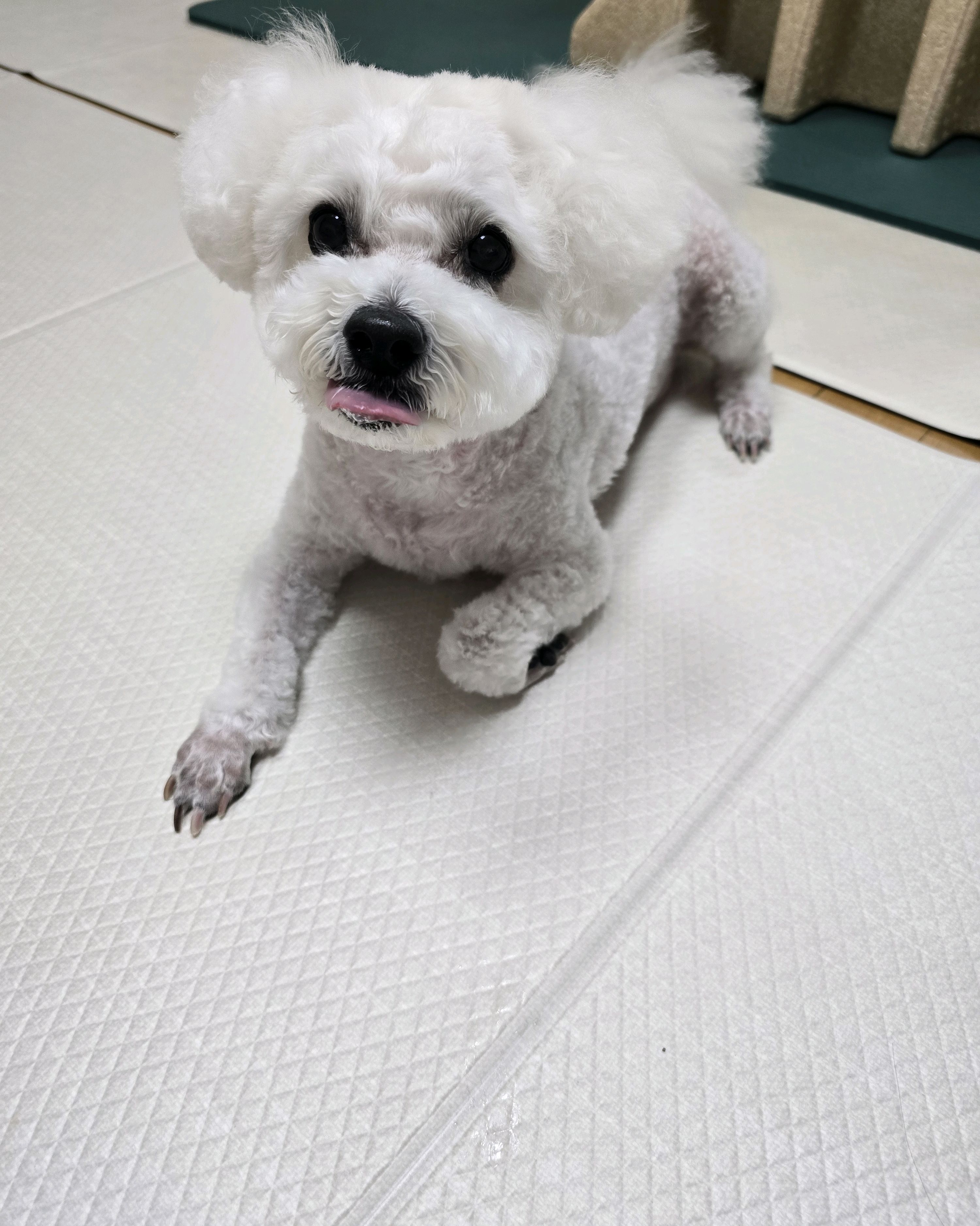리뷰 사진 2
