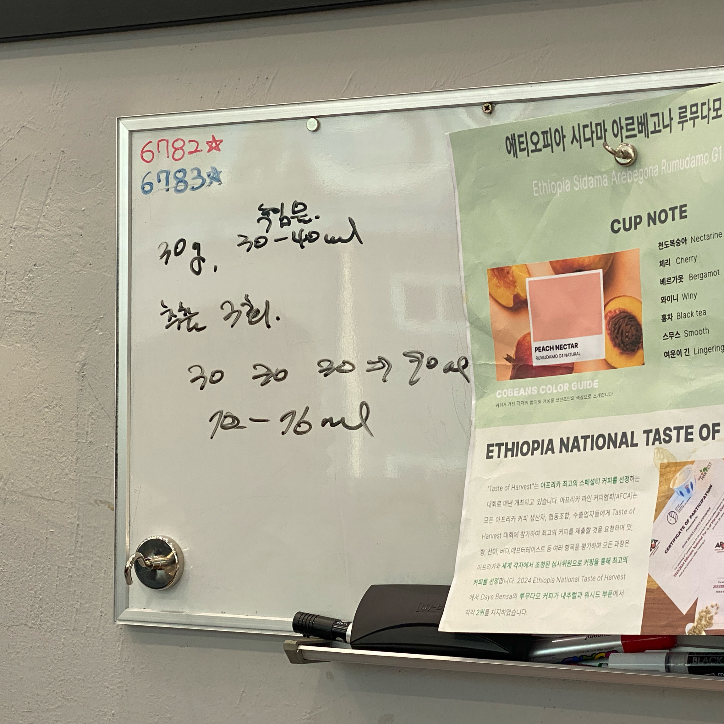 오리역 맛집 브릭제로나인 내돈내산 방문후기
