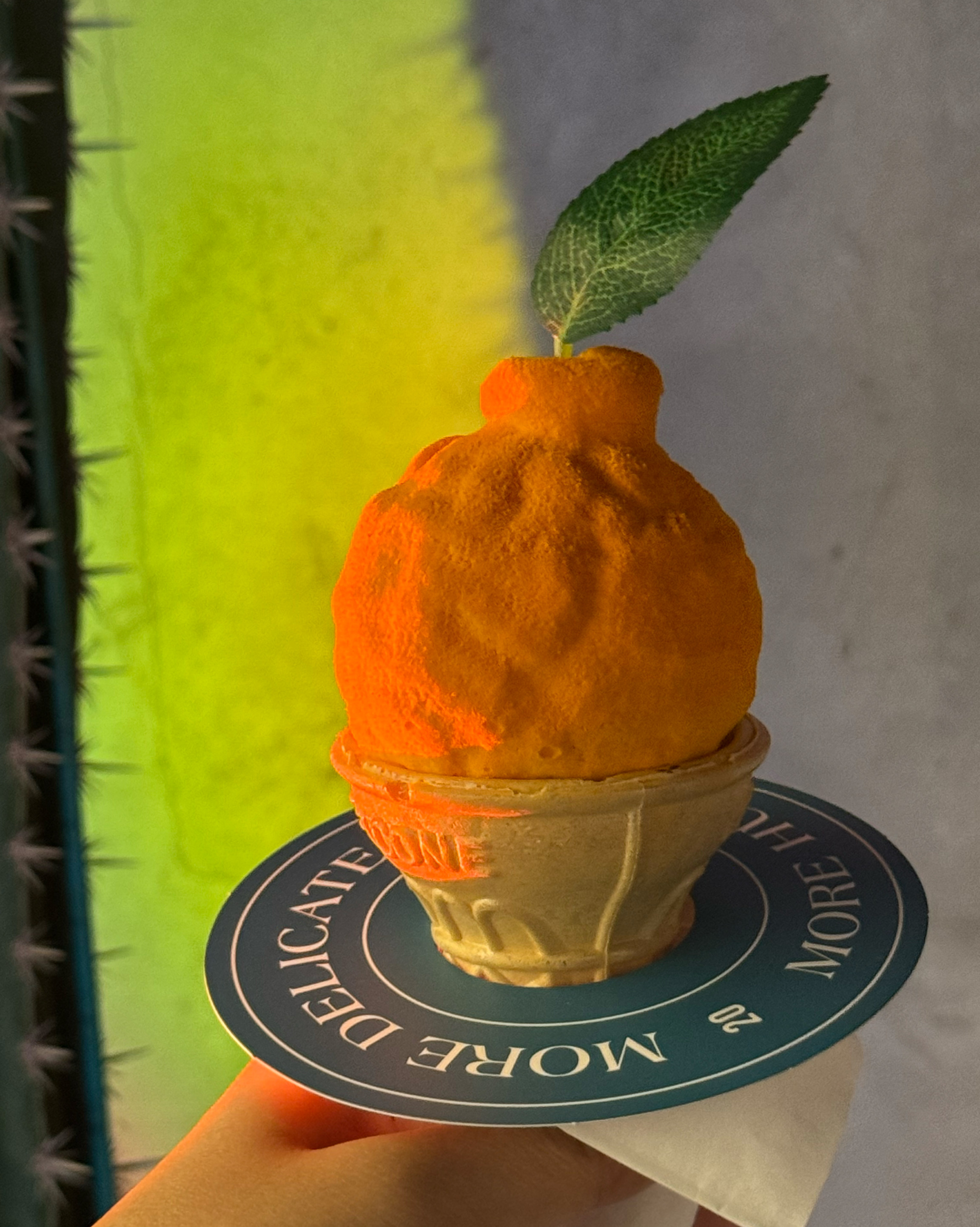 화려한 비주얼(?)로 그전부터 가야지가야지 하던 곳인데 이제야와보네요ㅎㅎ 제주스러움과 맛을