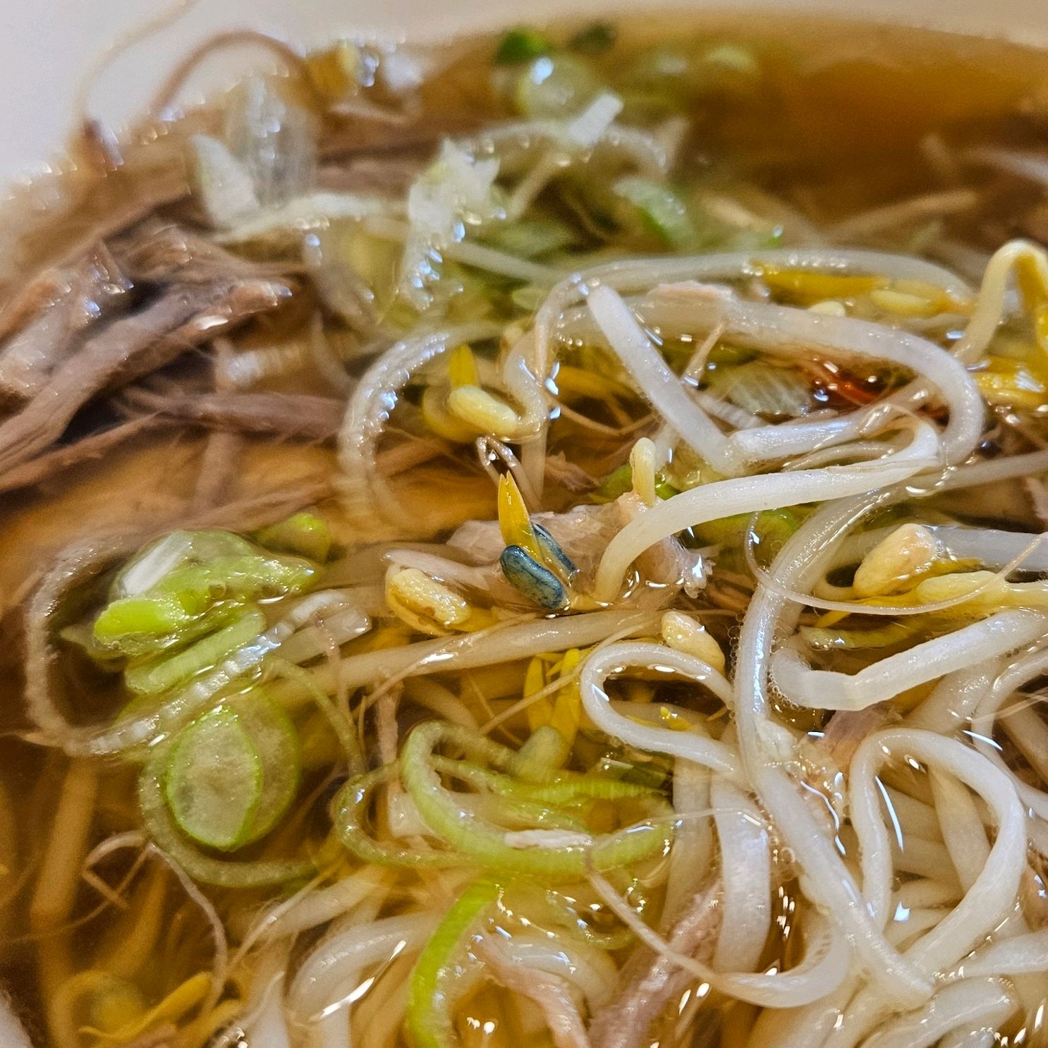 미분당 실패는 없는 줄 알았는데 ... 숙주가 너무  쓰고 비려서 못먹었어요. 청녹색 숙주