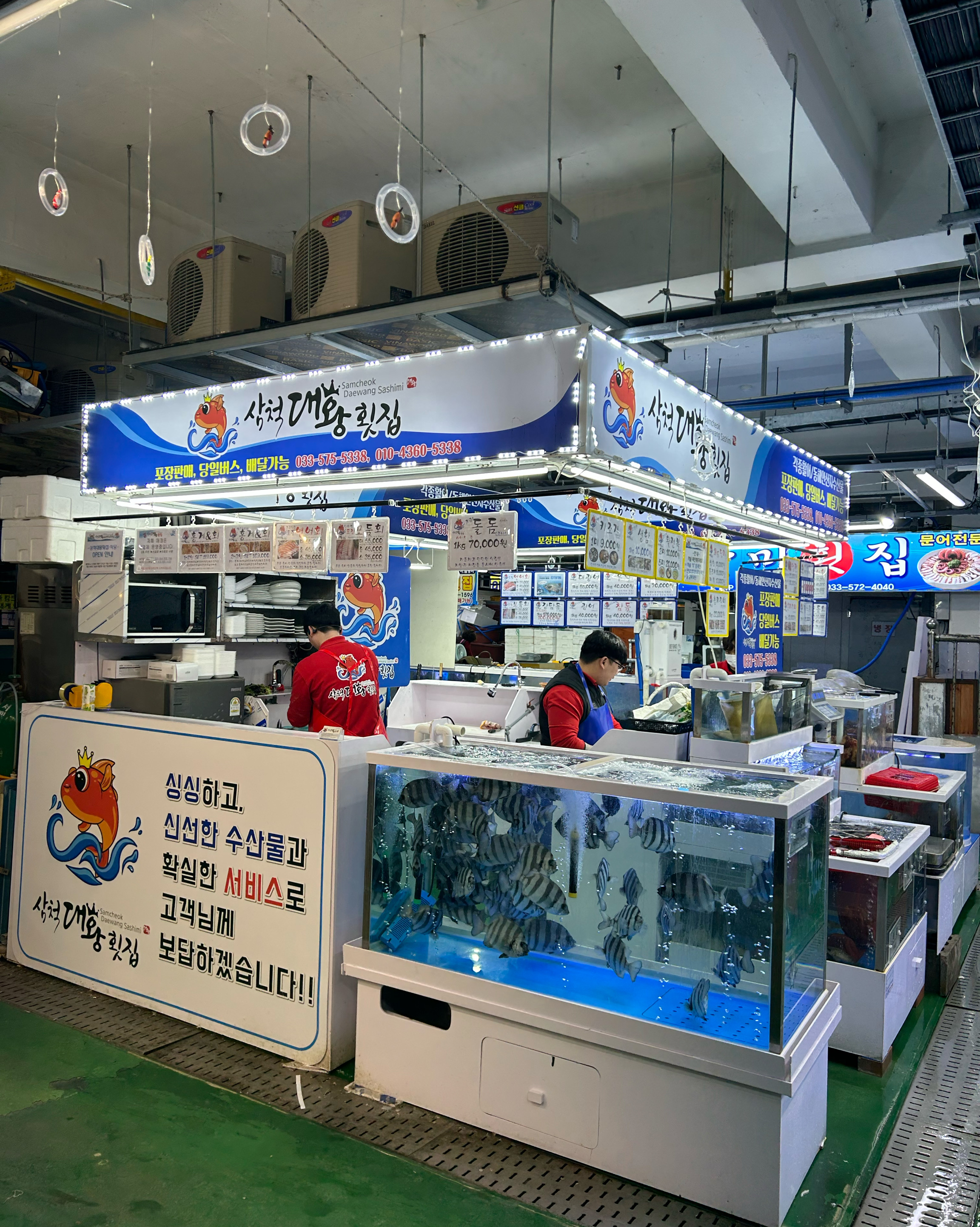[삼척 맛집 삼척대왕횟집] 직접 가본 로컬 리뷰