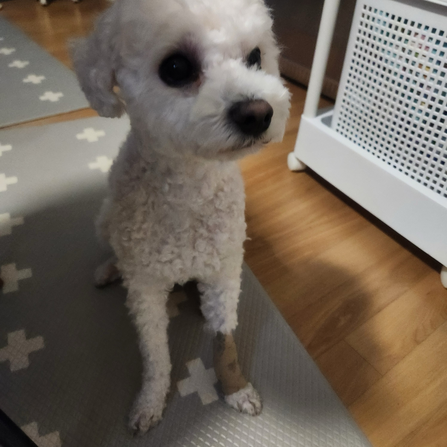 리뷰 사진 1