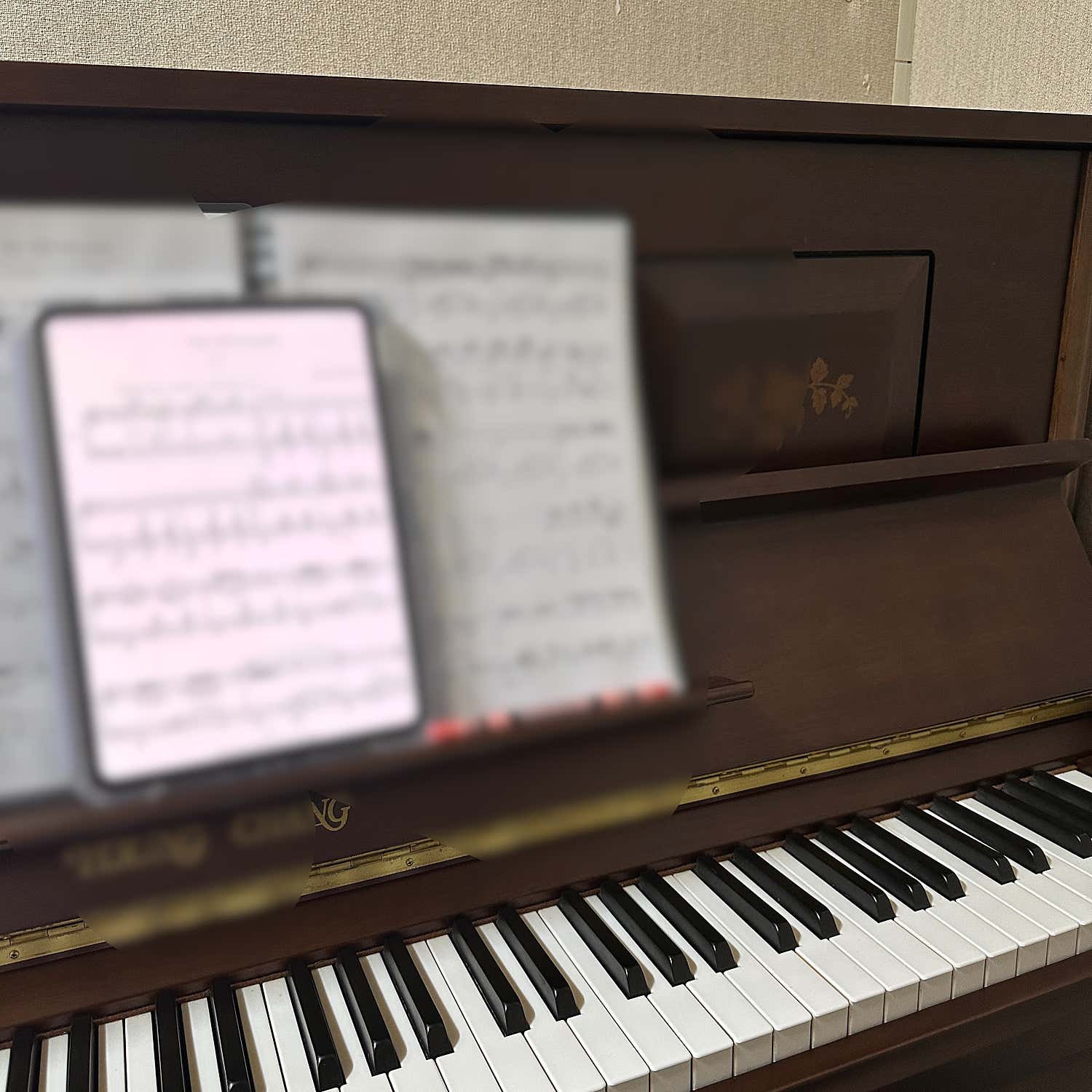 2번째 스튜디오 사진