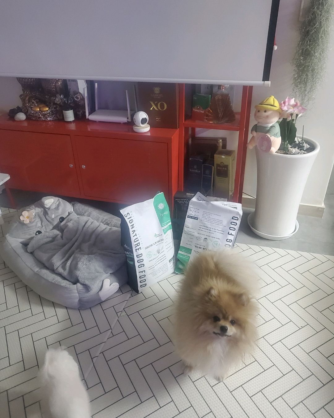 리뷰 사진 1