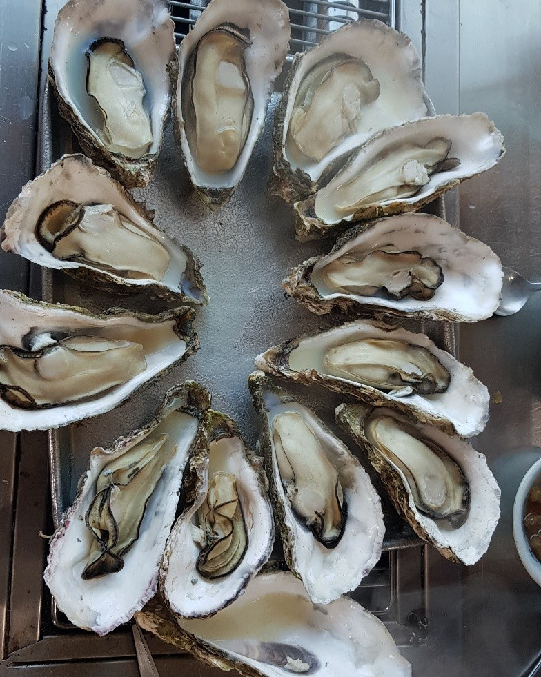 [하동 맛집 벚굴식당] 직접 가본 로컬 리뷰