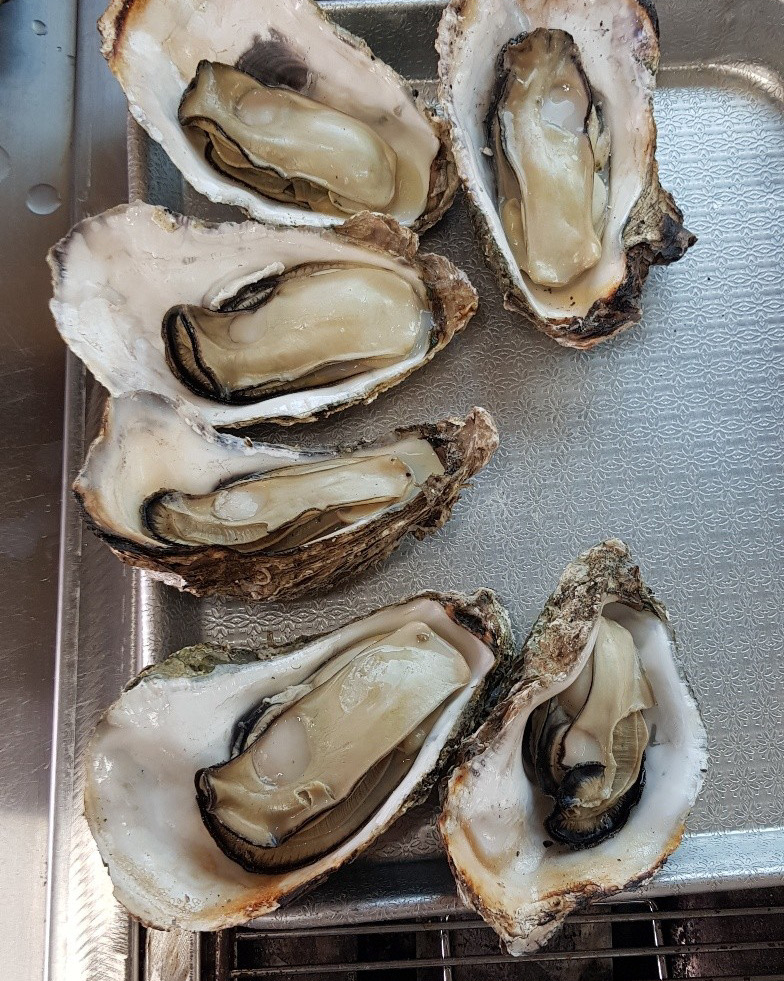 [하동 맛집 벚굴식당] 직접 가본 로컬 리뷰