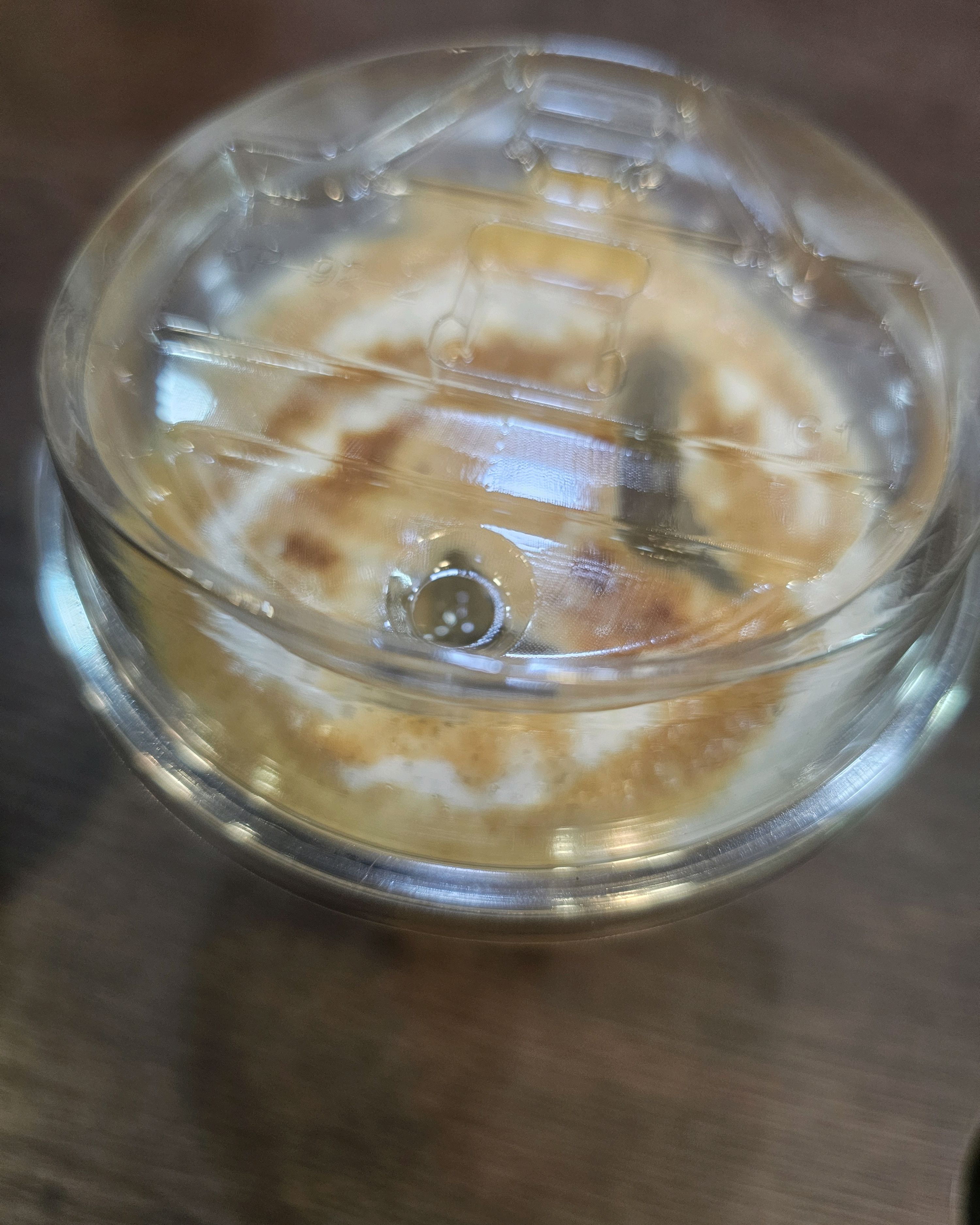 [동해 맛집 컴포어 동해점] 직접 가본 로컬 리뷰