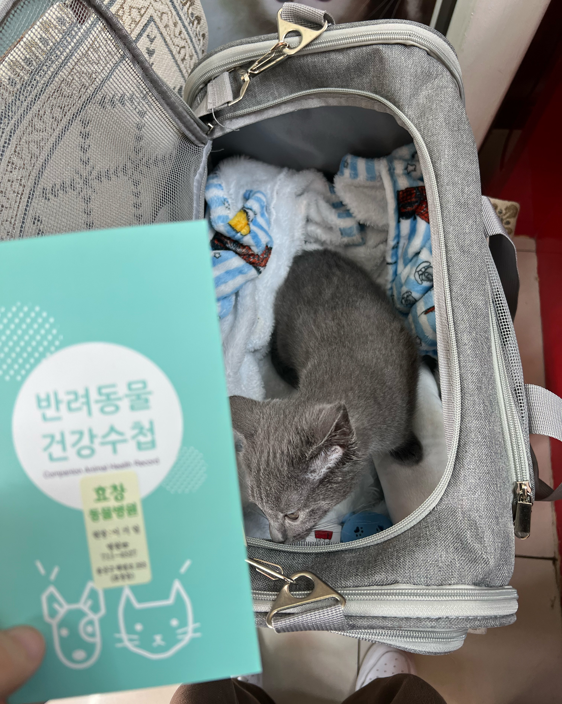 리뷰 사진 1