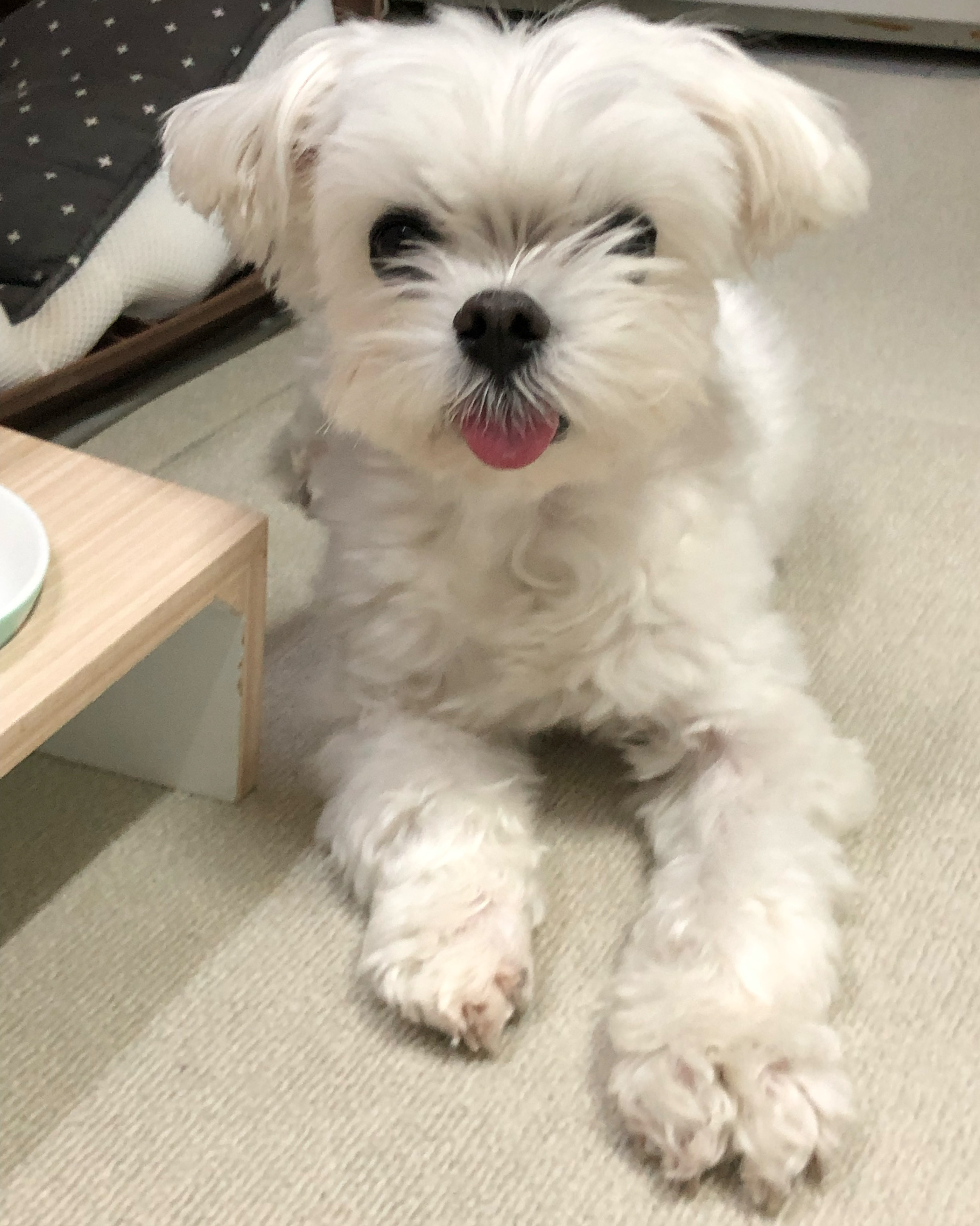 리뷰 사진 1