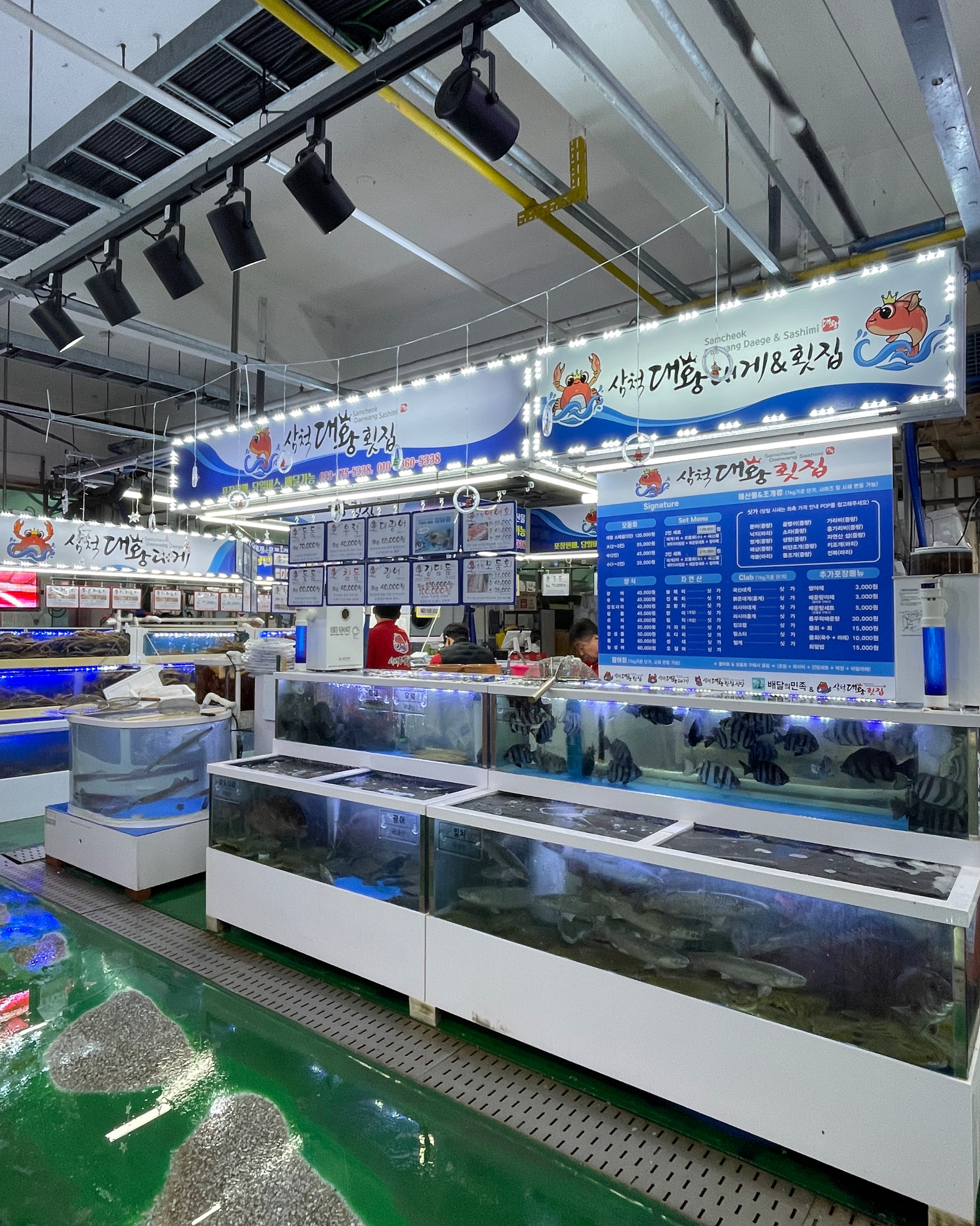 [삼척 맛집 삼척대왕횟집] 직접 가본 로컬 리뷰