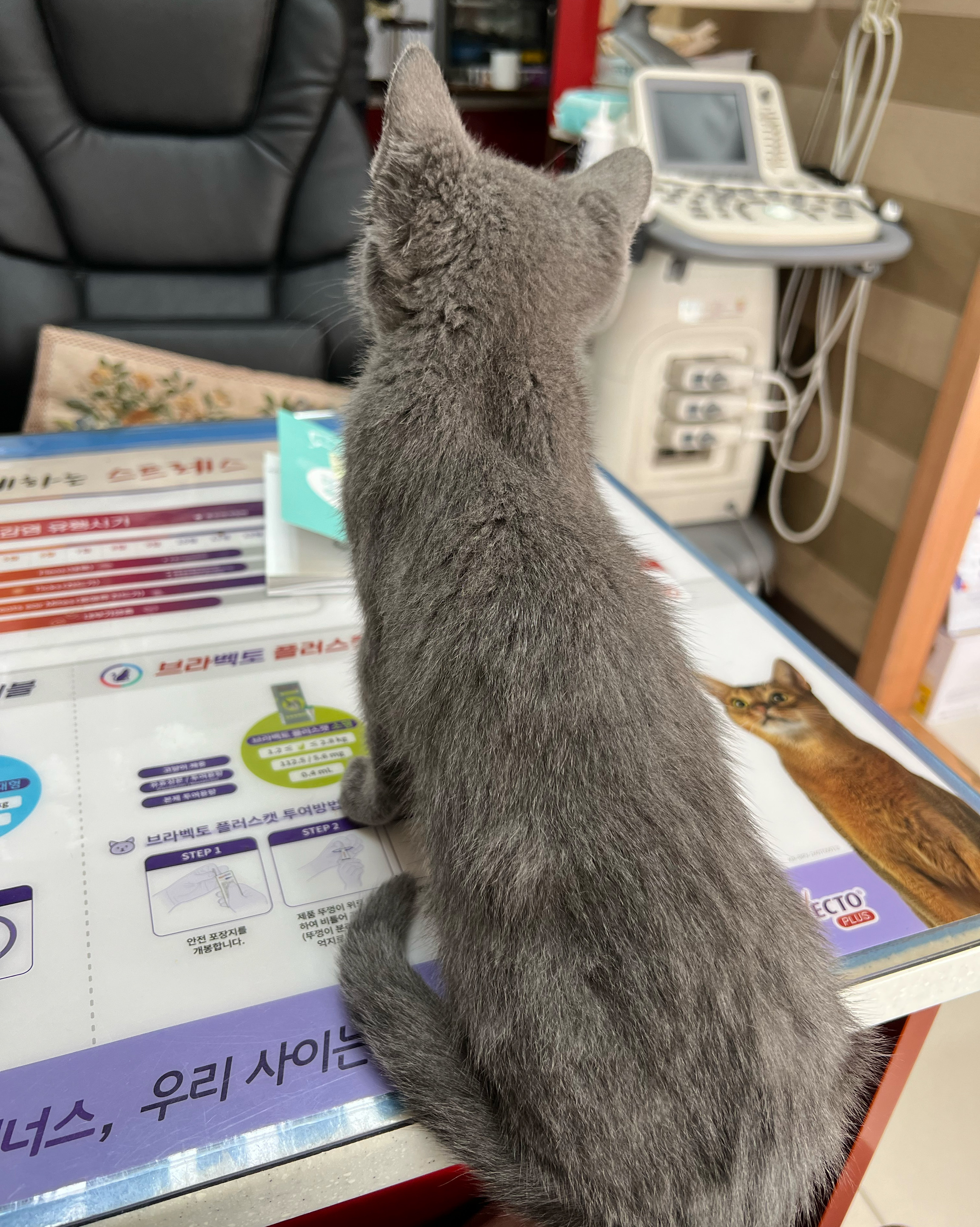리뷰 사진 3