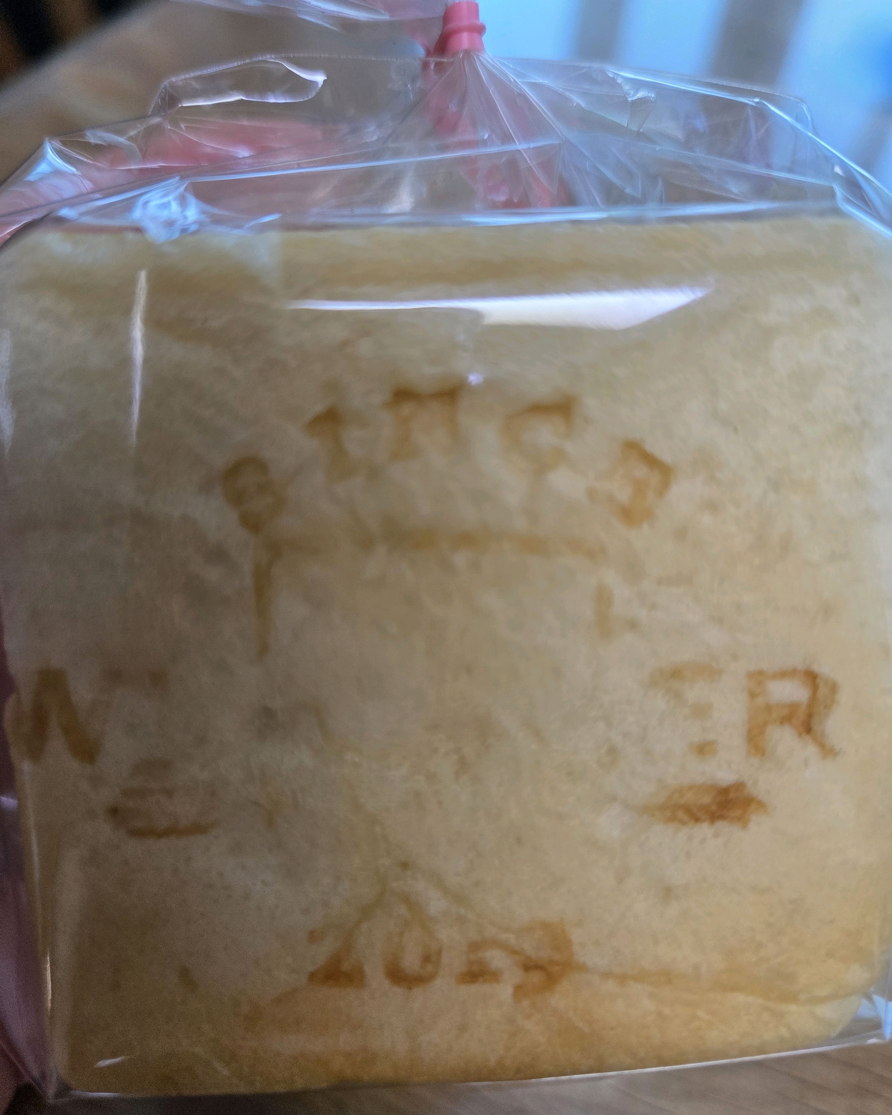역시 식빵계의 에르메스!! - 포항 양덕 맛집 화이트리에 포항 양덕점