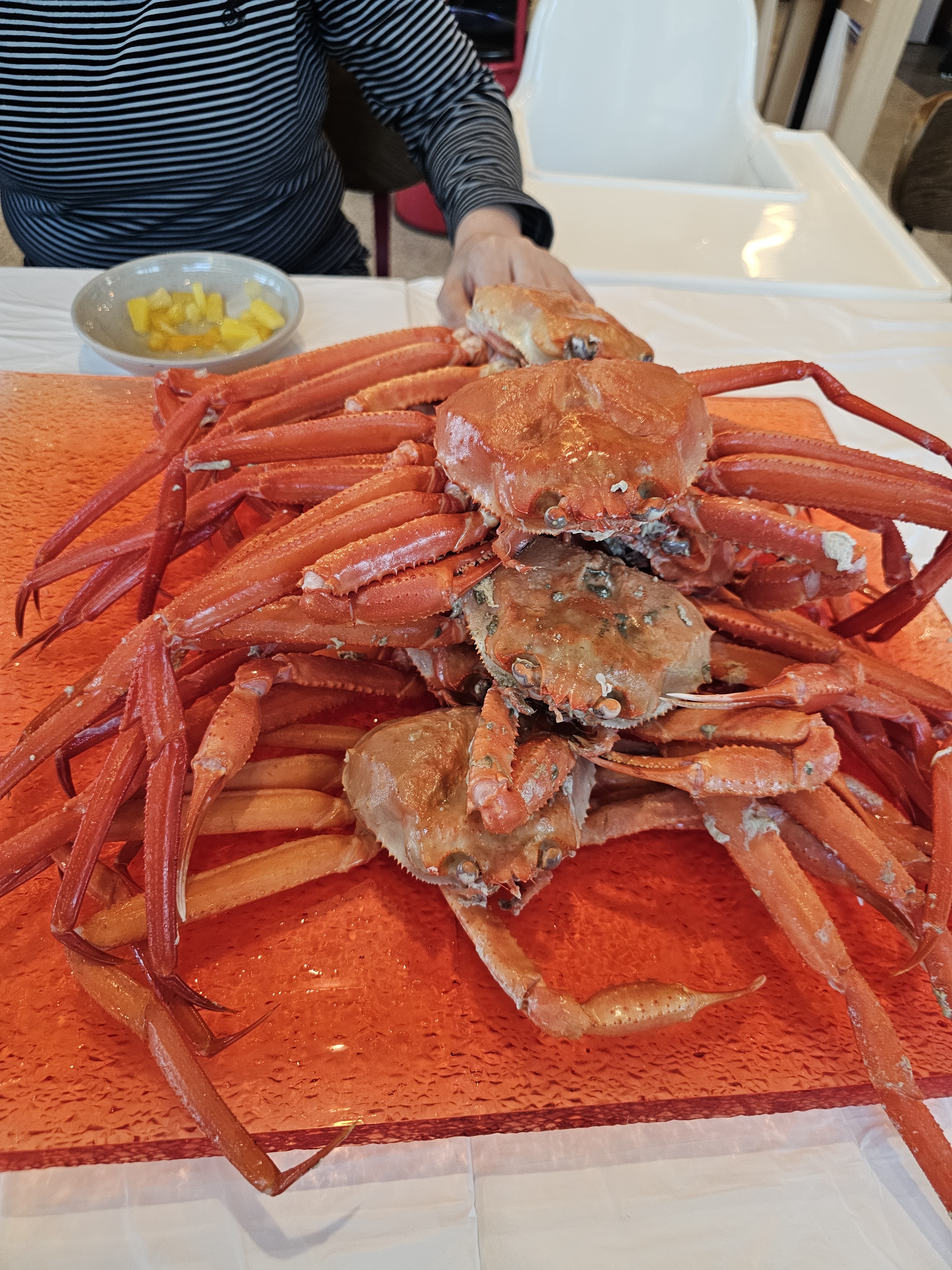 [동해 맛집 옥상홍게무한리필] 직접 가본 로컬 리뷰