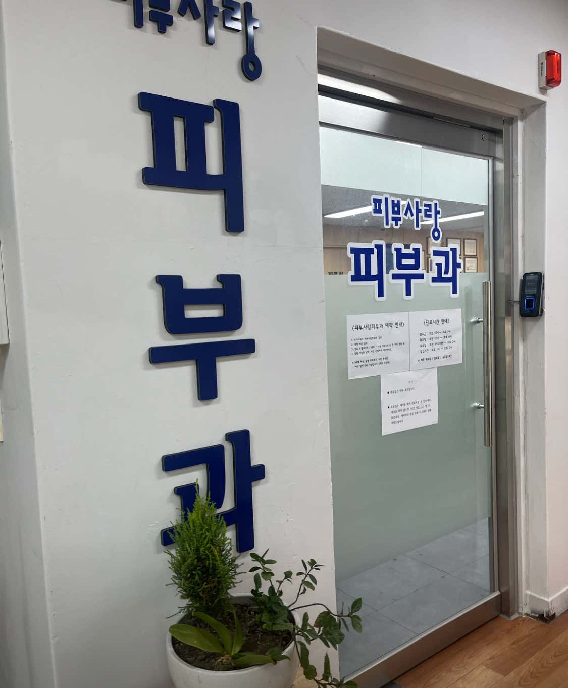 피부사랑피부과의원 마포