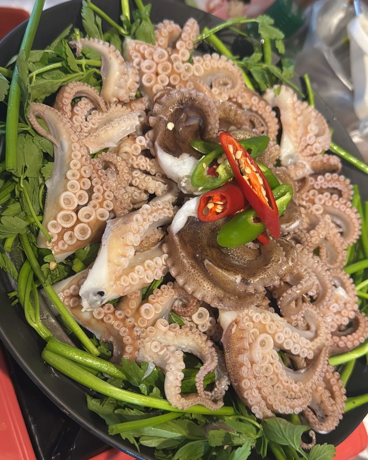 새로 오픈한 아구포차 드디어 와봤어요 - 권선동 맛집 아구포차