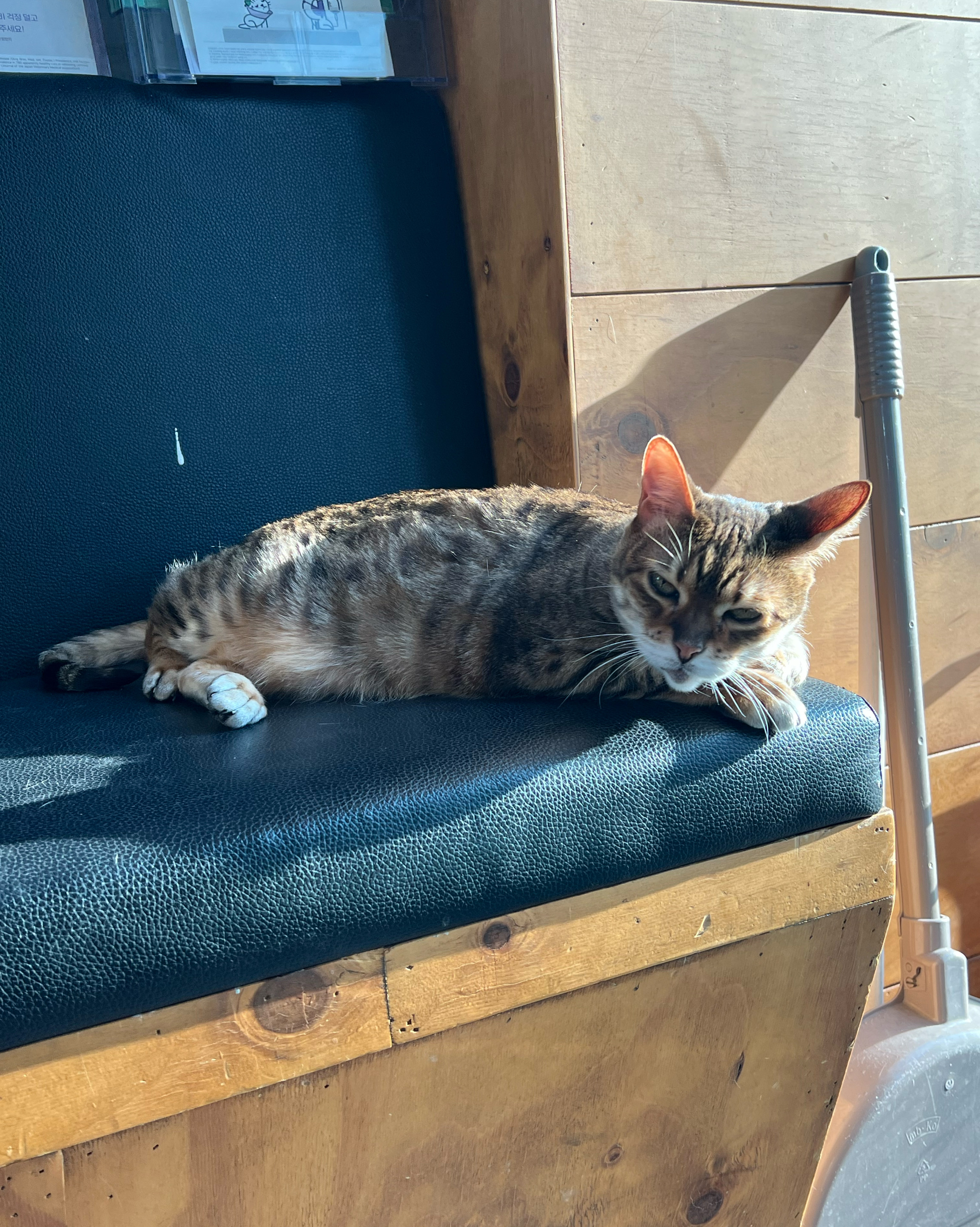 하비동물병원 사진 5