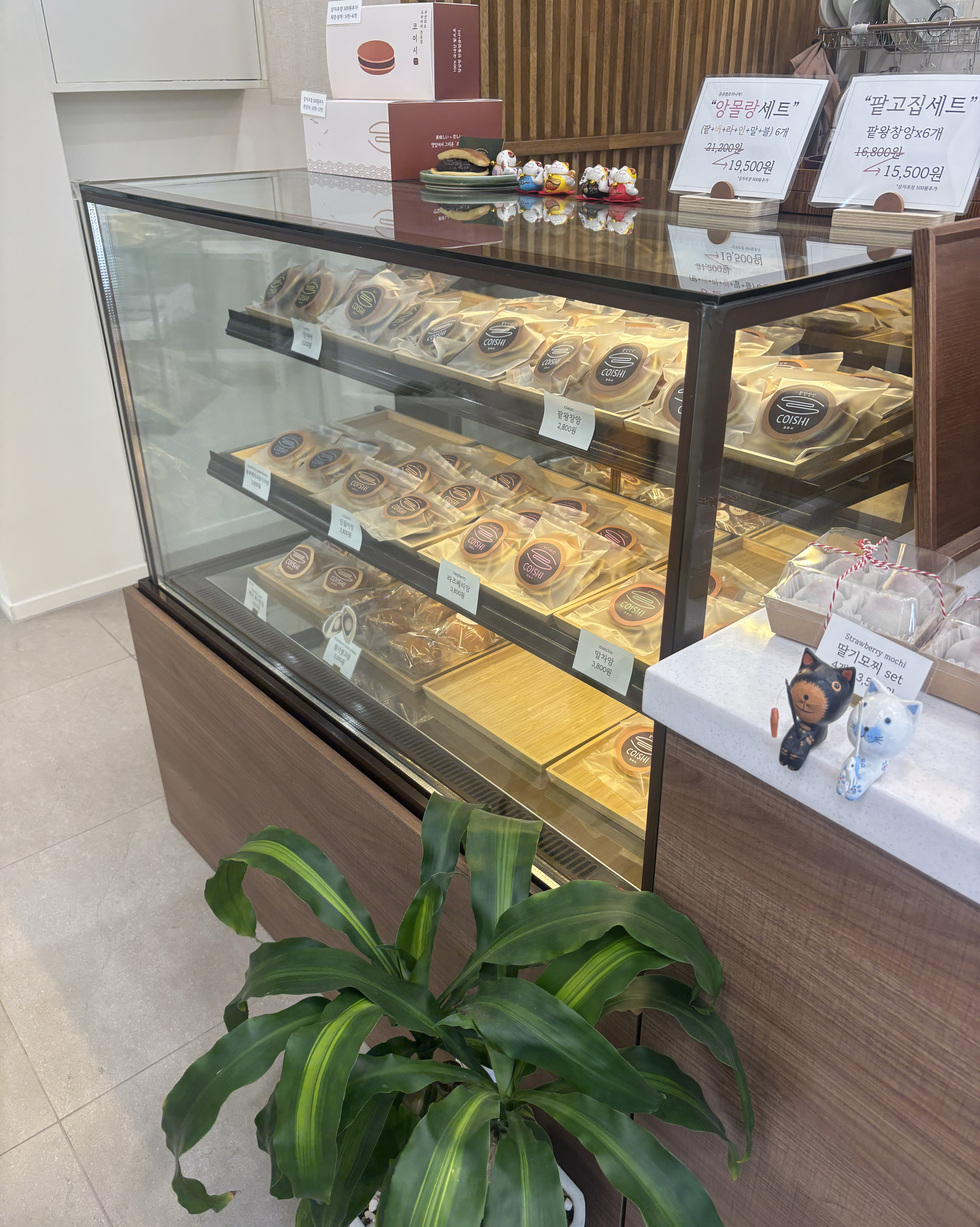 [부산역 맛집 코이시] 직접 가본 로컬 리뷰