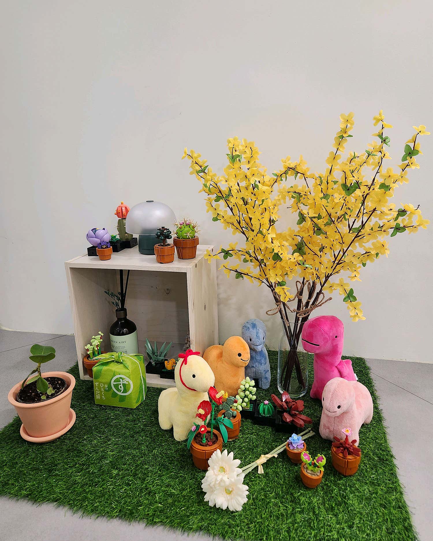 2번째 스튜디오 사진