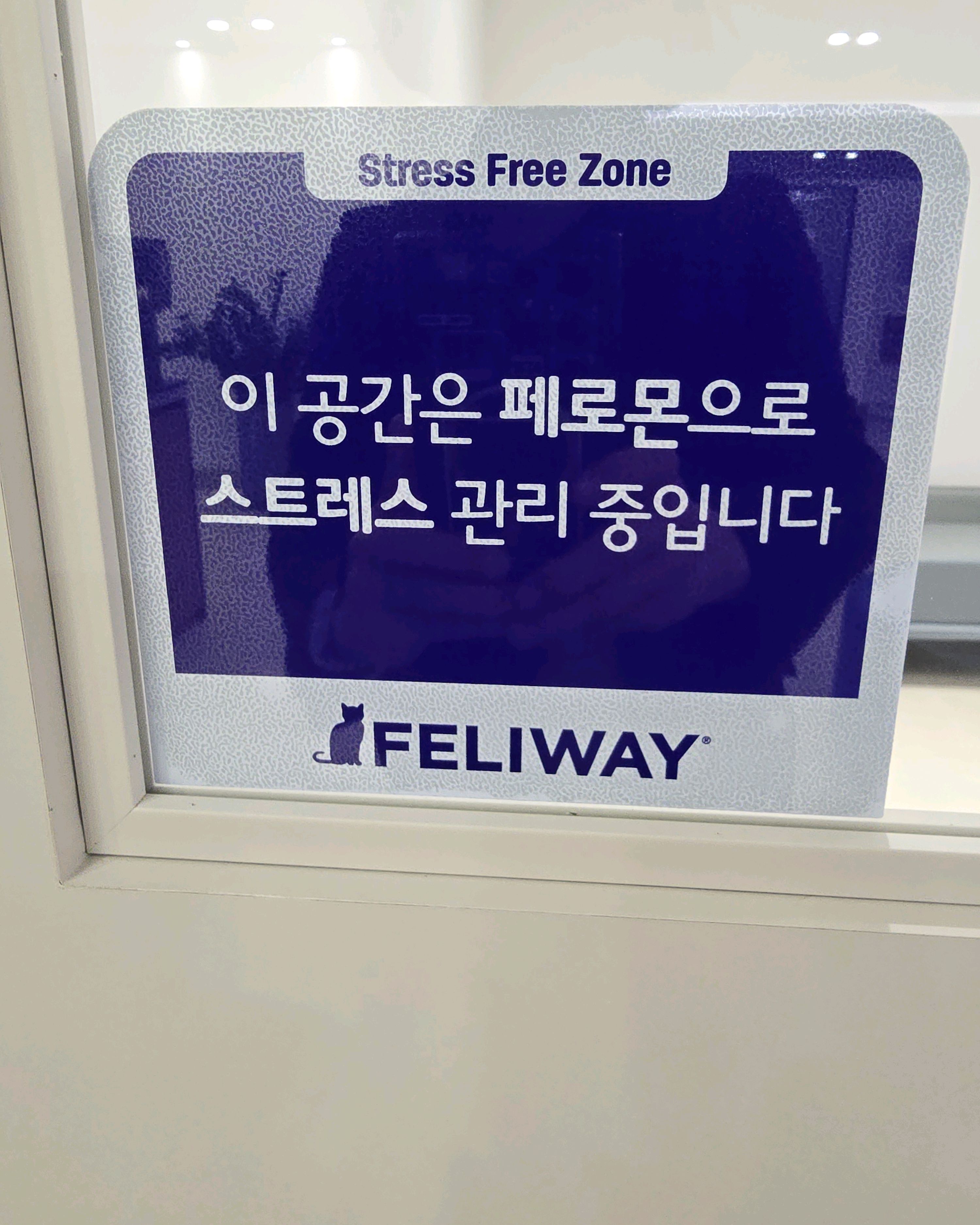 리뷰 사진 3