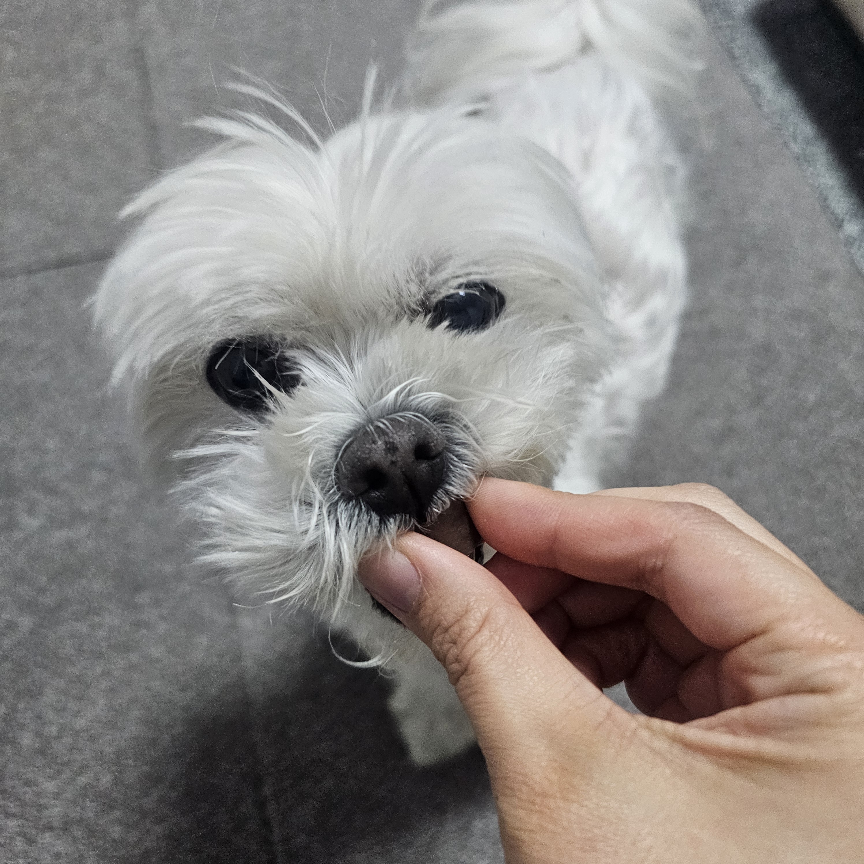 리뷰 사진 1