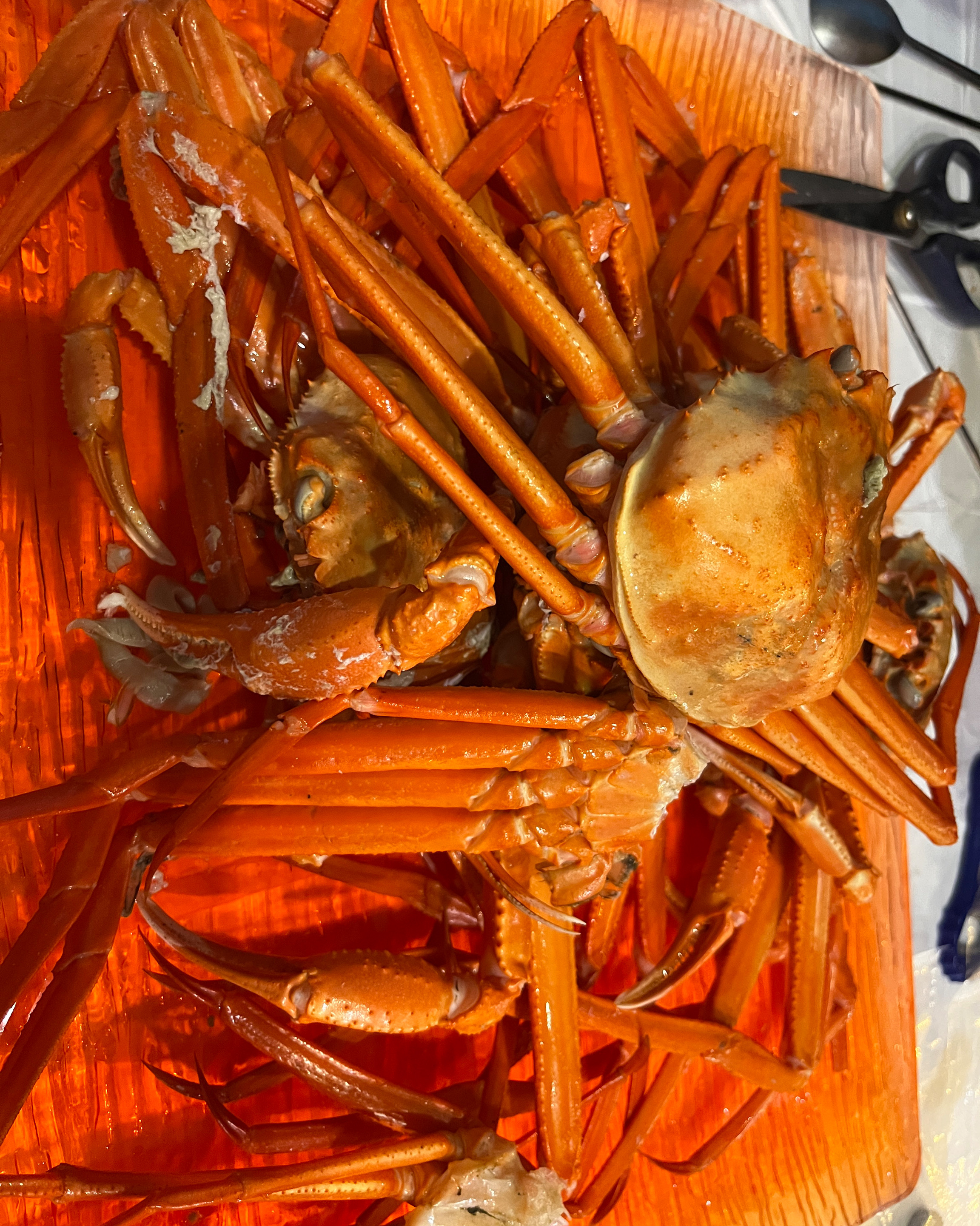 [동해 맛집 옥상홍게무한리필] 직접 가본 로컬 리뷰