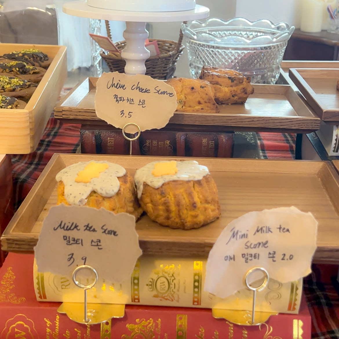 정자역 맛집 카타리나 내돈내산 찐리뷰