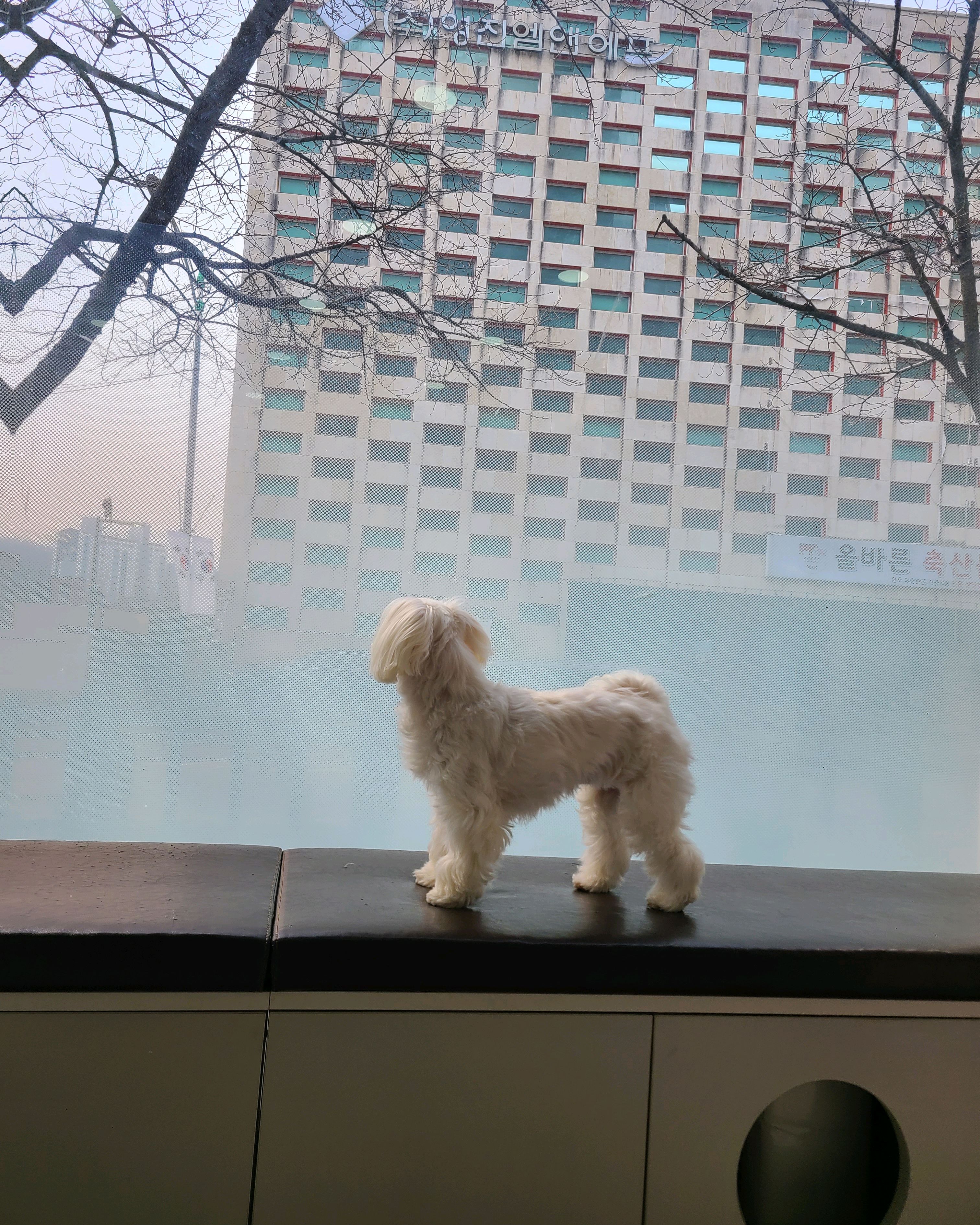 리뷰 사진 2