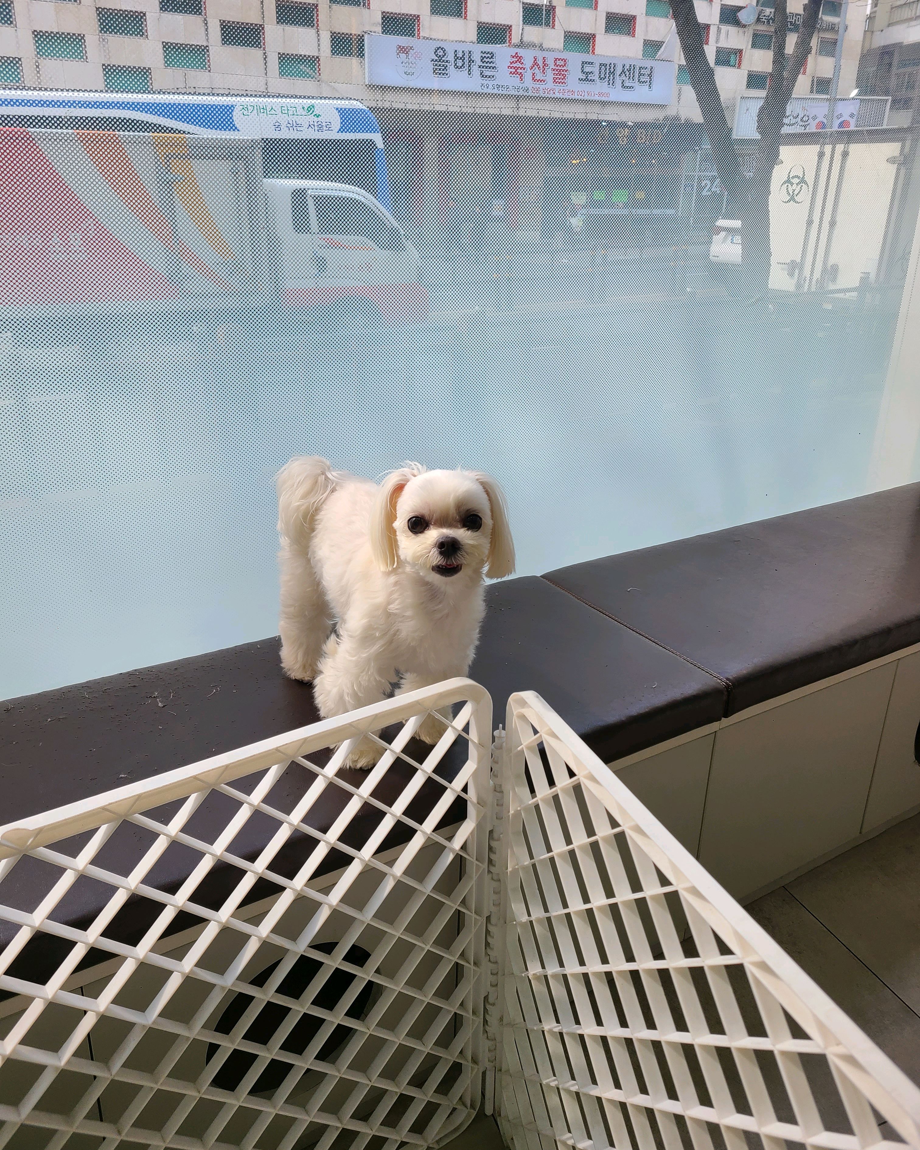 리뷰 사진 1