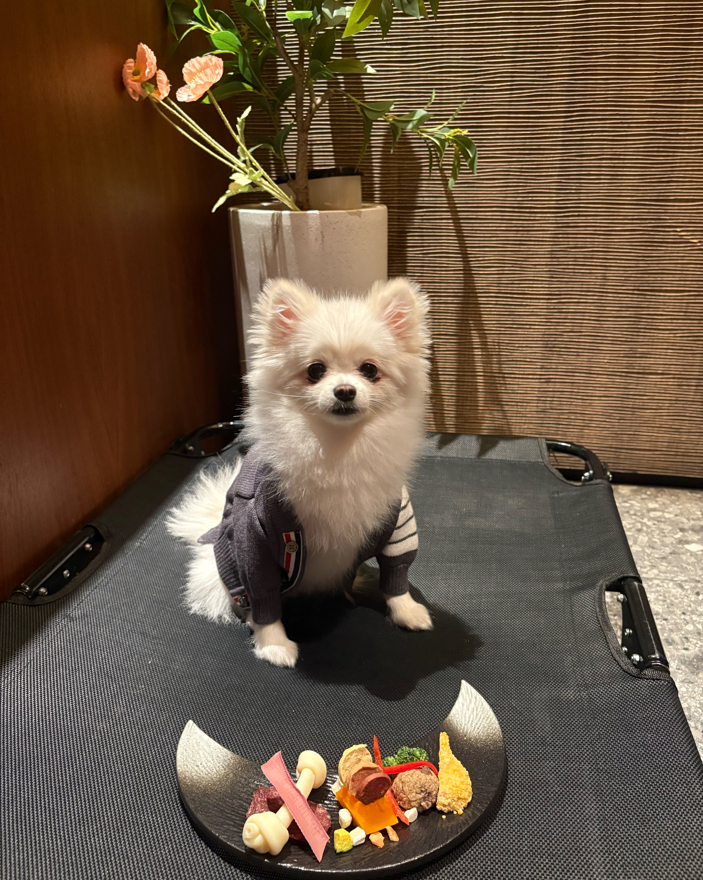 정자역 맛집 우텐더 정자점 내돈내산 찐리뷰