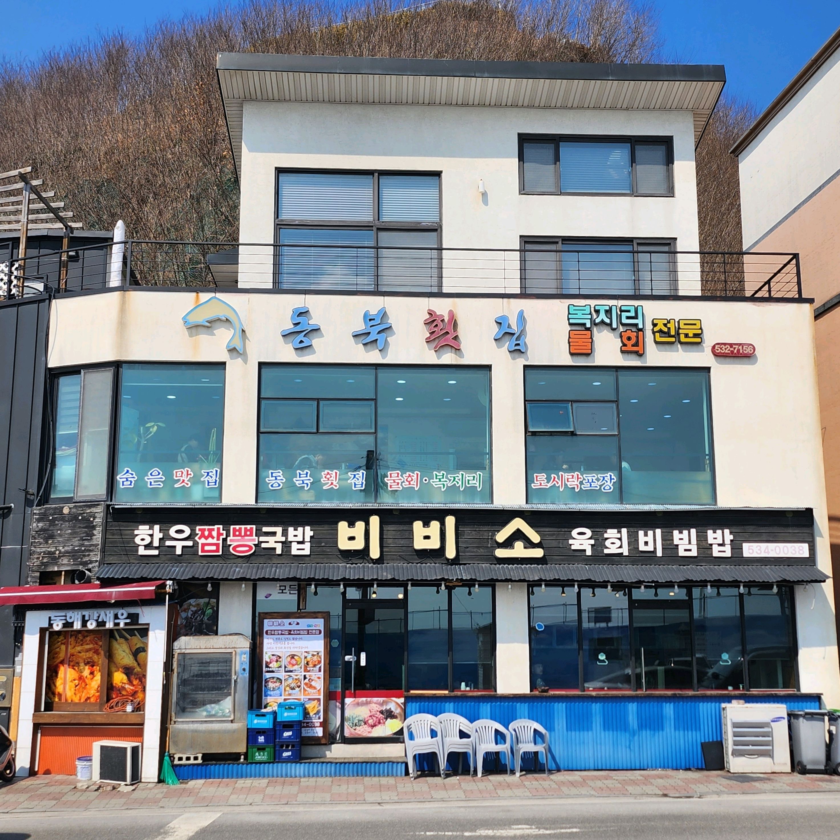 [동해 맛집 비비소] 직접 가본 로컬 리뷰