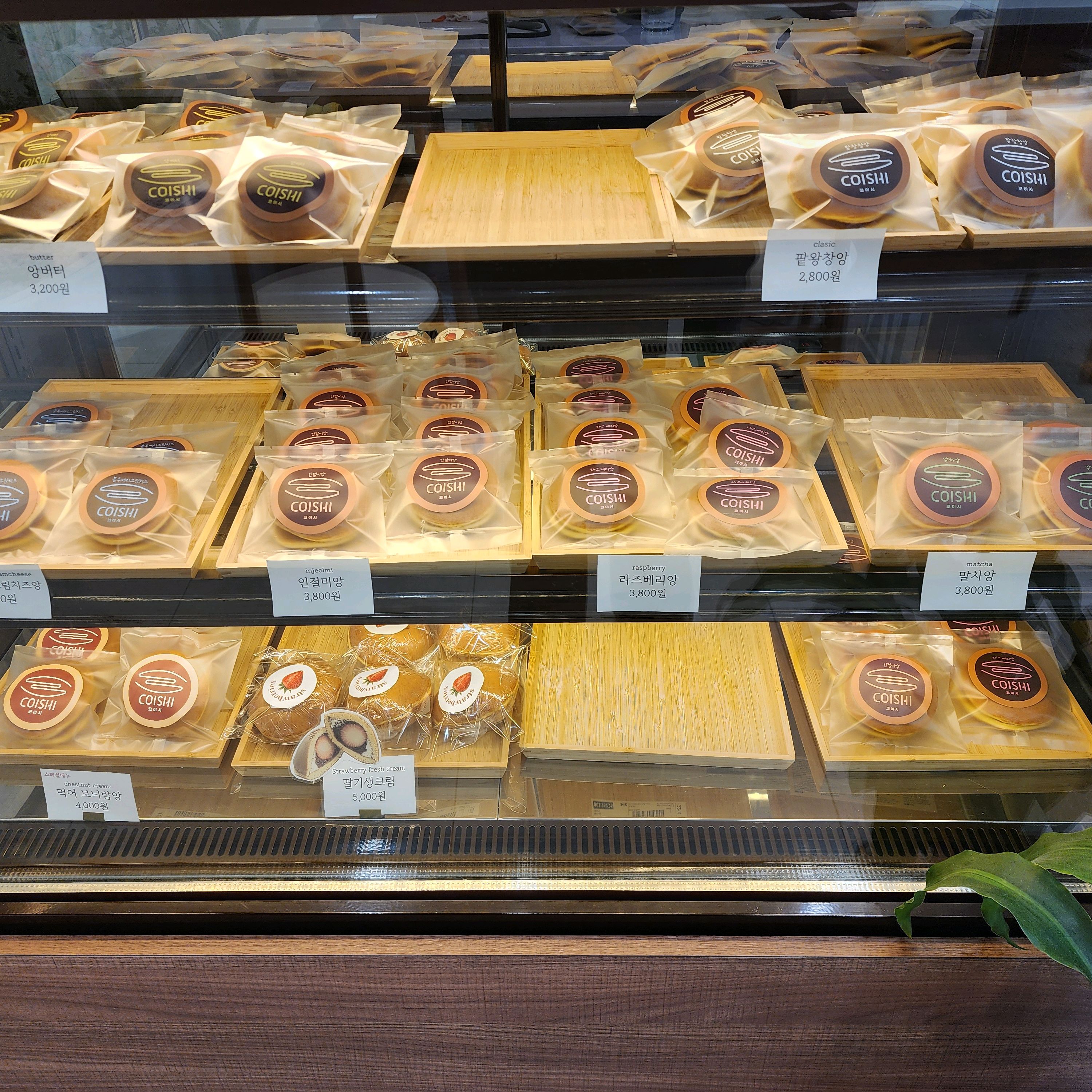 [부산역 맛집 코이시] 직접 가본 로컬 리뷰