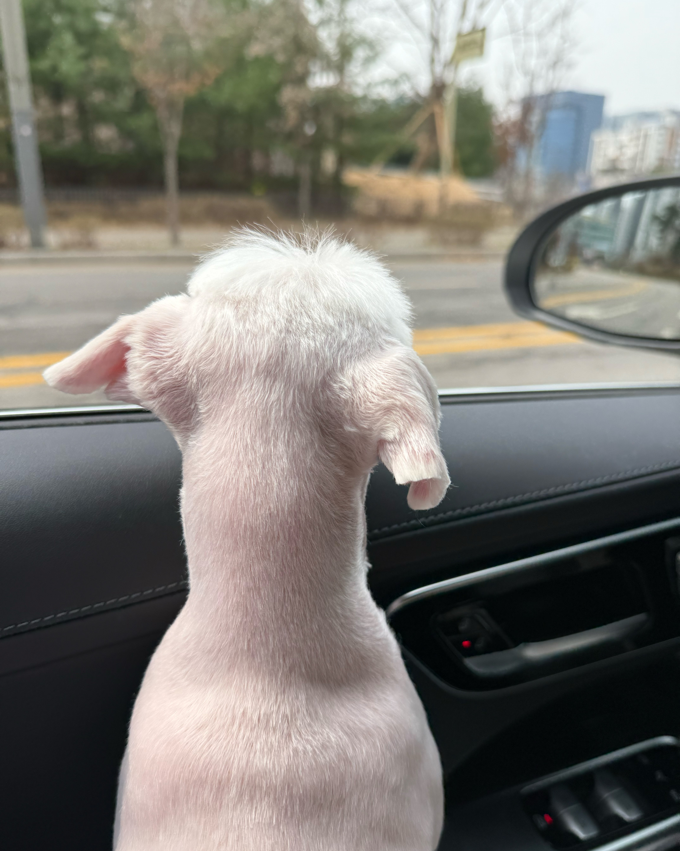 리뷰 사진 1