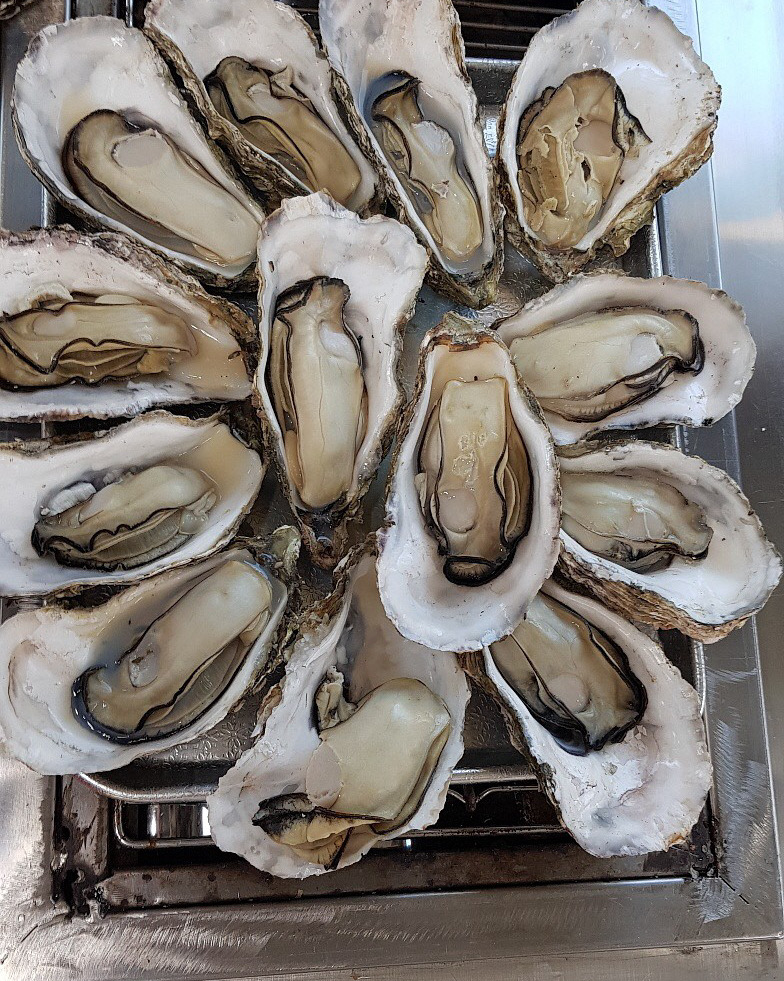 [하동 맛집 벚굴식당] 직접 가본 로컬 리뷰