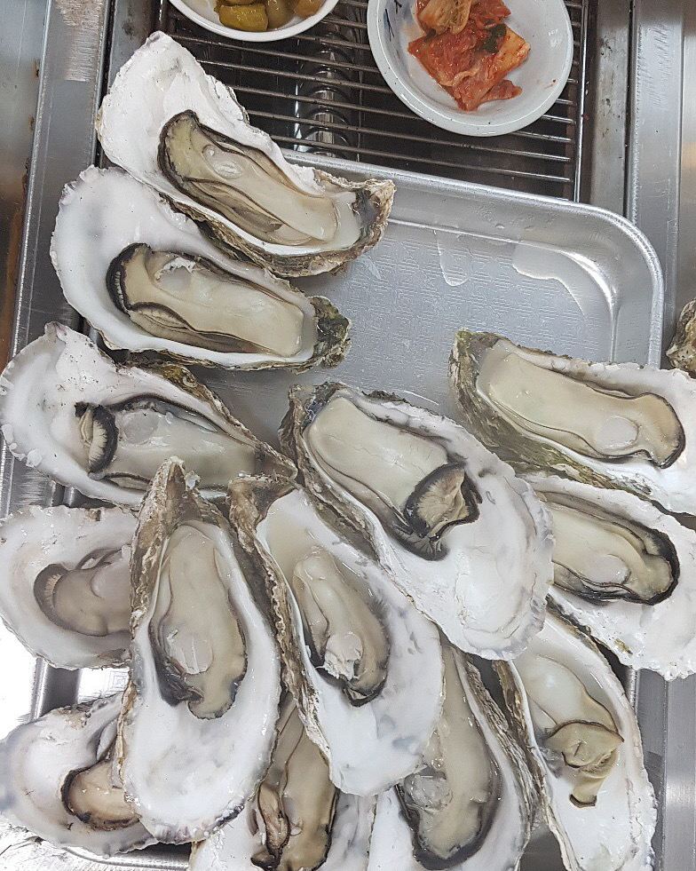 [하동 맛집 벚굴식당] 직접 가본 로컬 리뷰