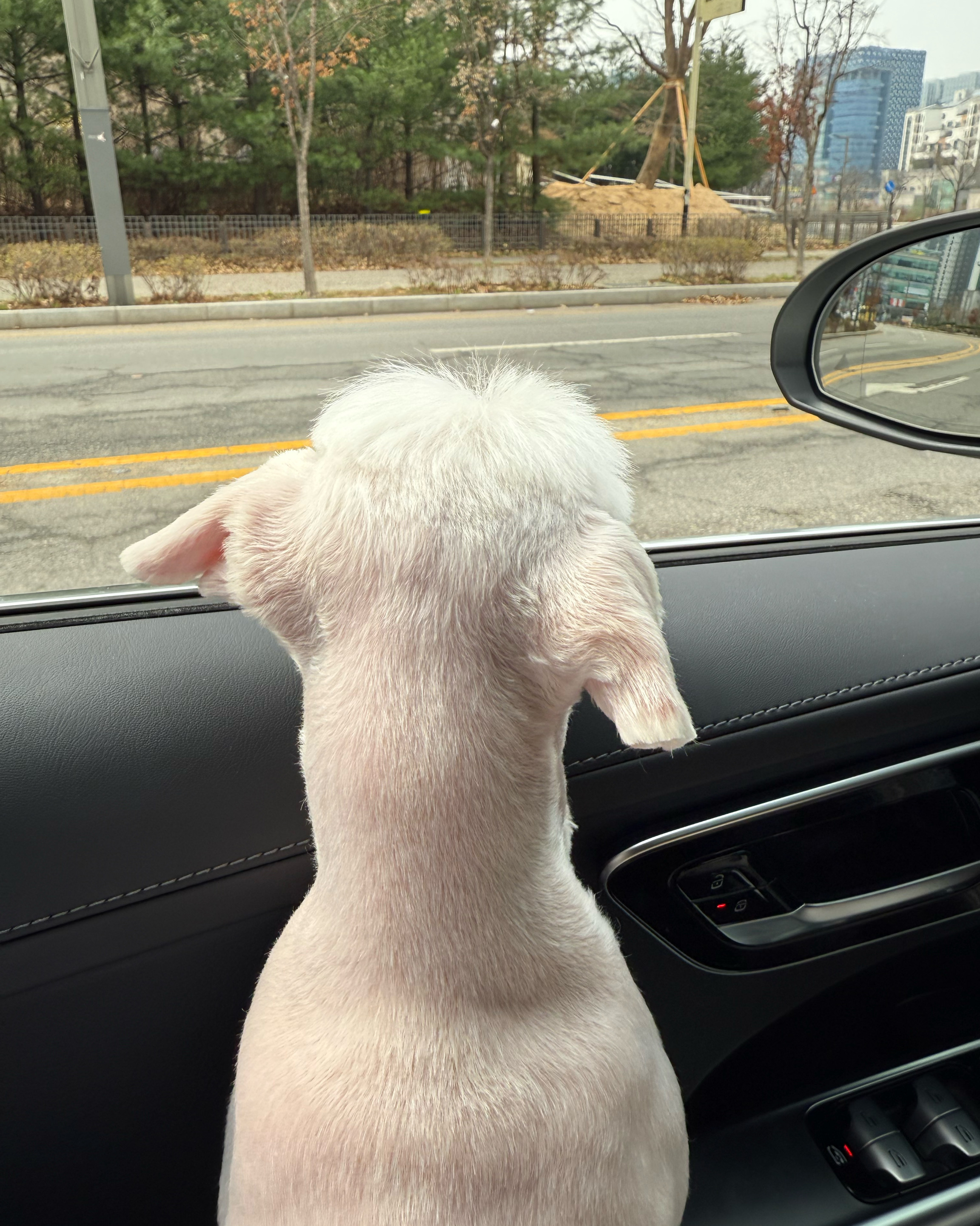 리뷰 사진 2