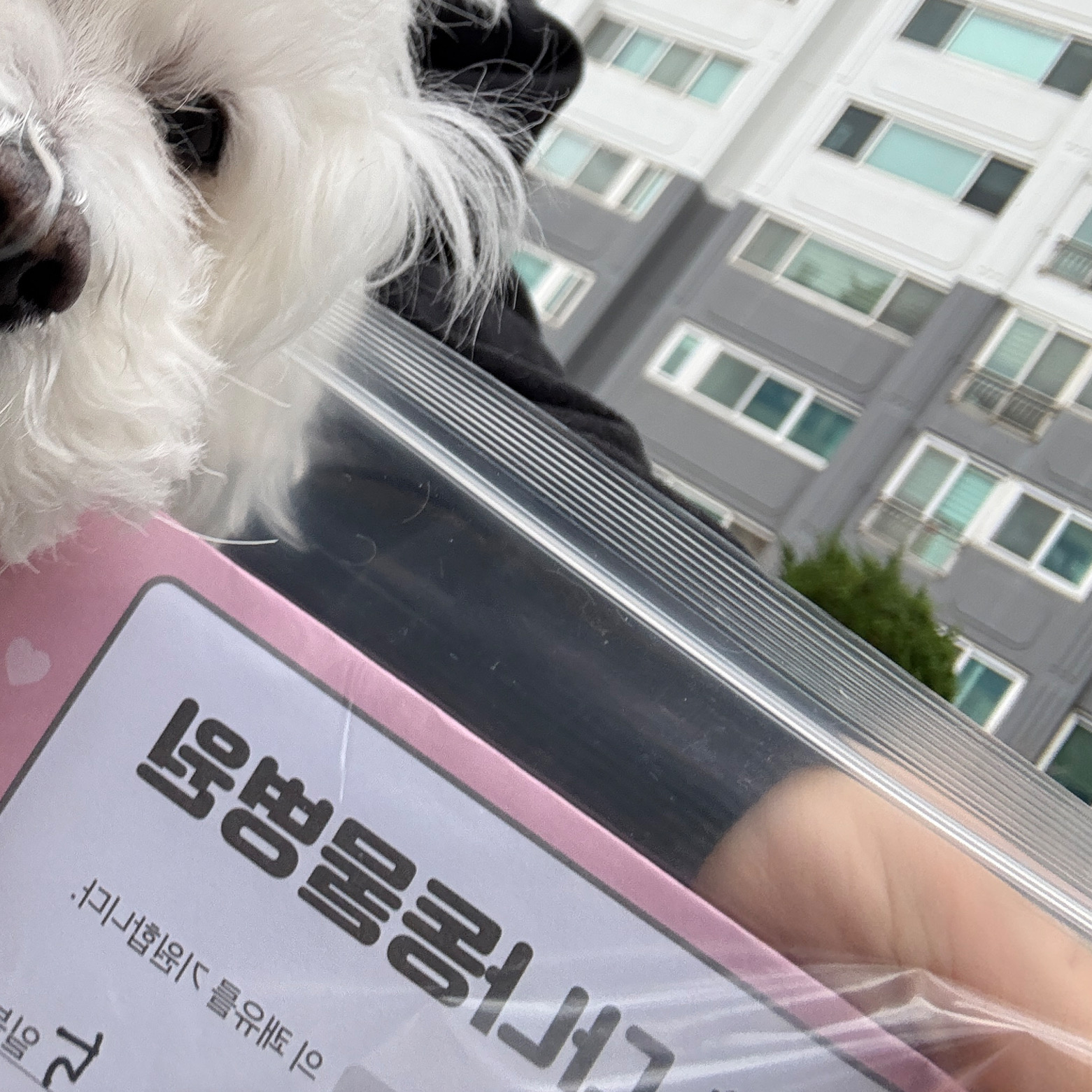 리뷰 사진 1