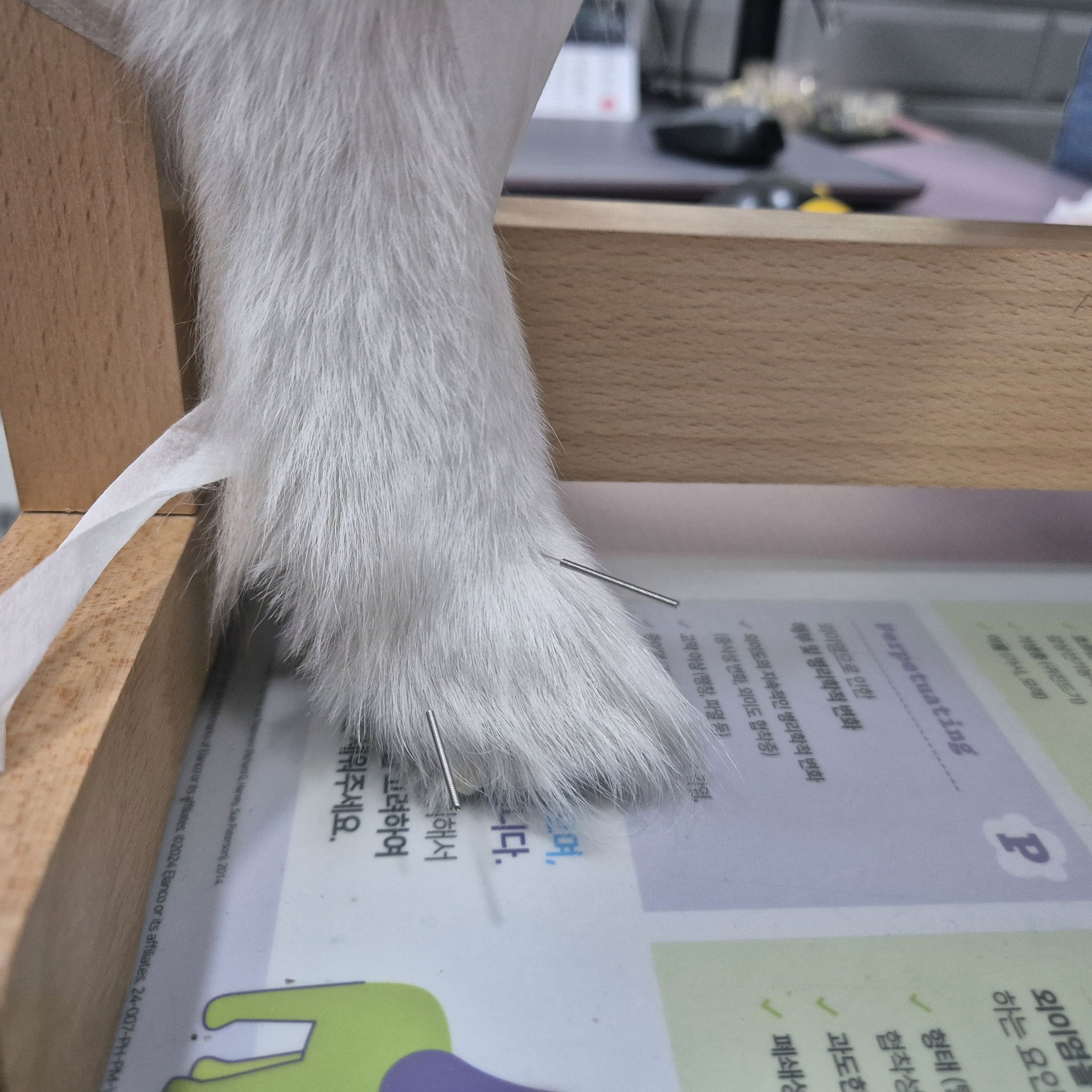 앙리동물병원 사진 5