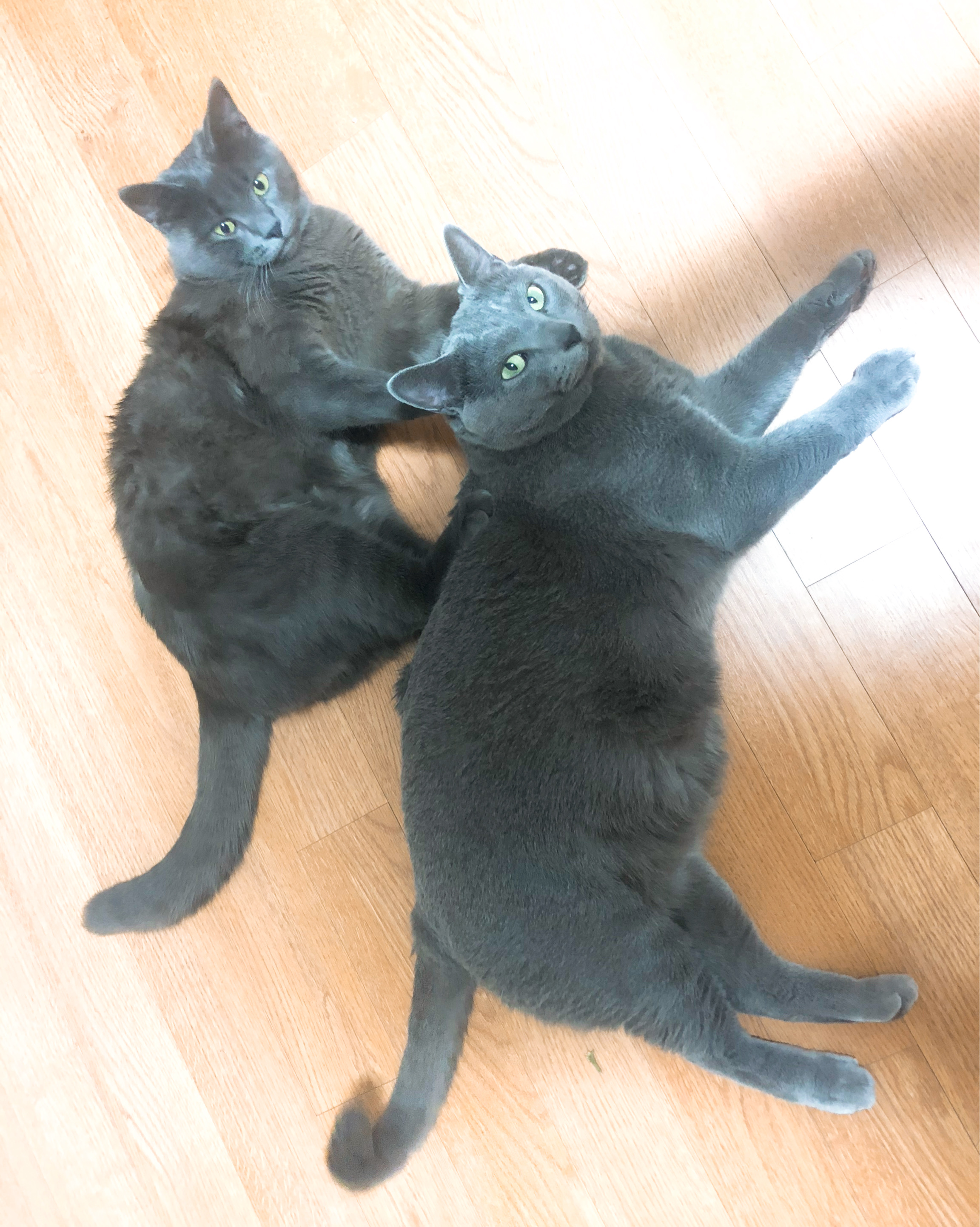 리뷰 사진 1