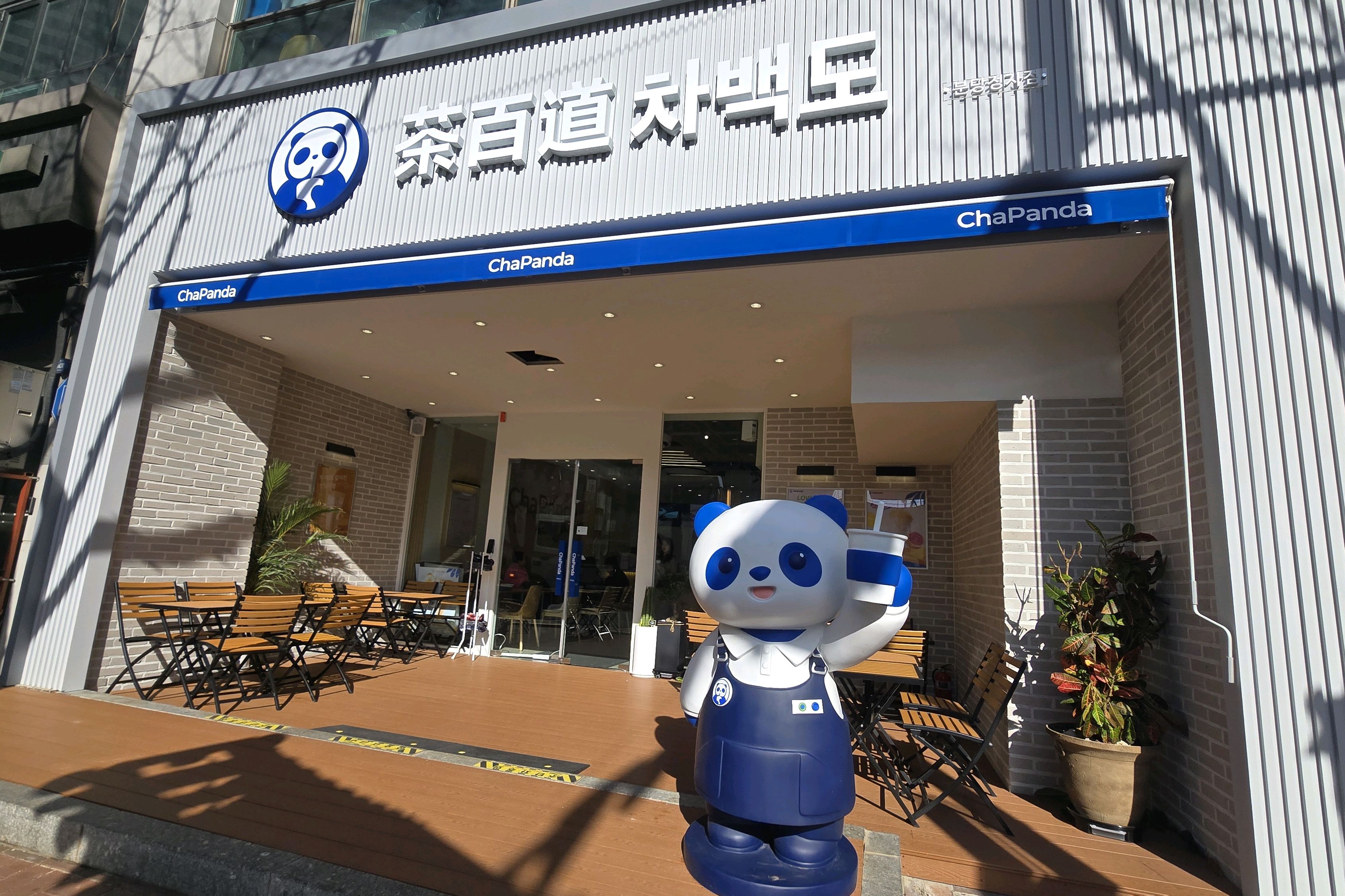정자역 맛집 차백도 분당정자점 내돈내산 방문후기