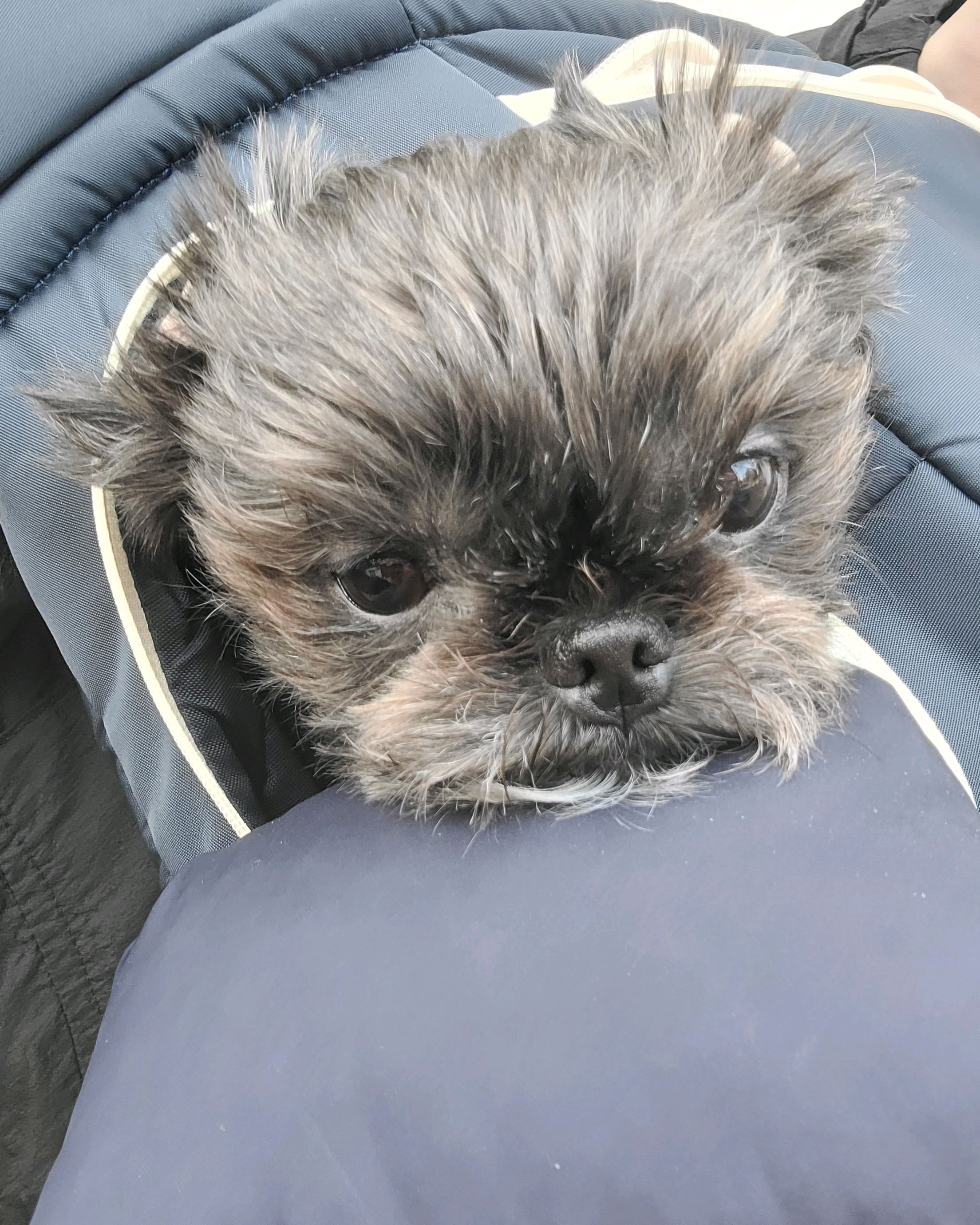 리뷰 사진 1