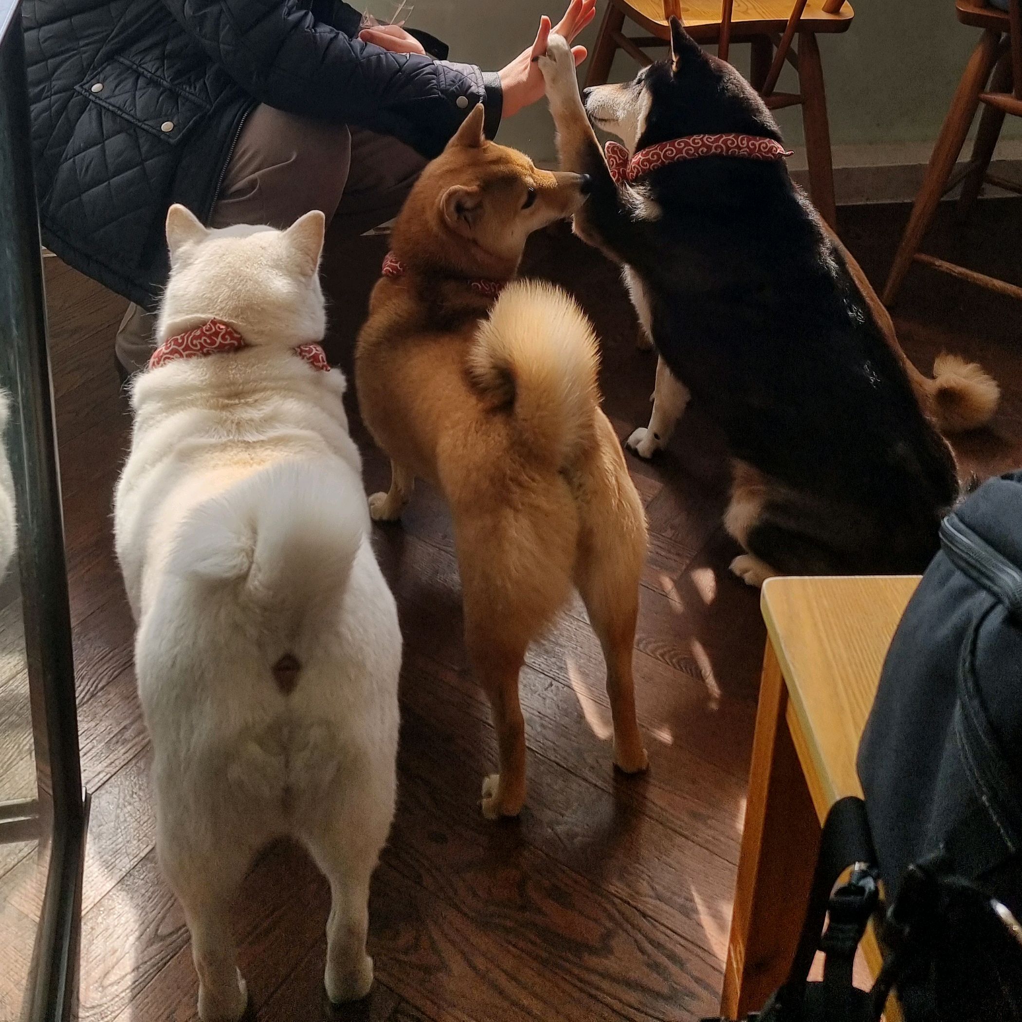 [경리단길 맛집 더미쓰리] 직접 가본 로컬 리뷰