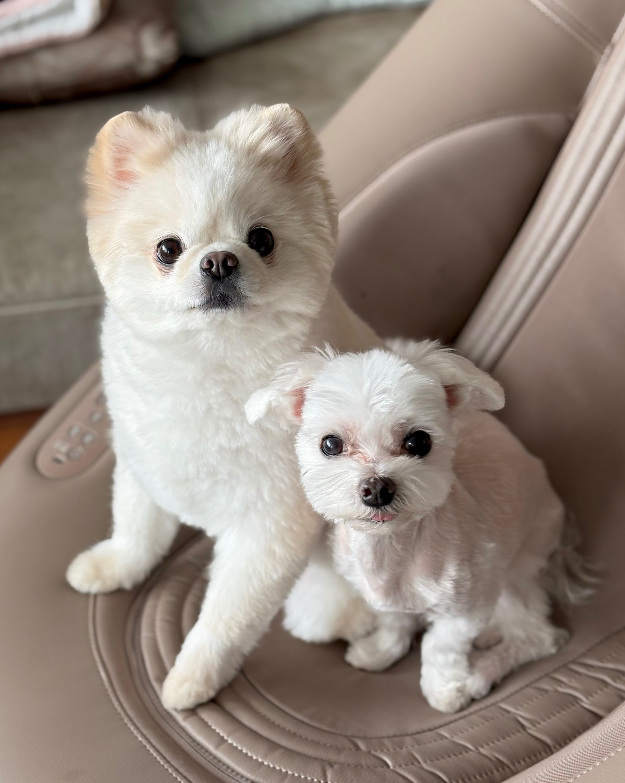 리뷰 사진 1