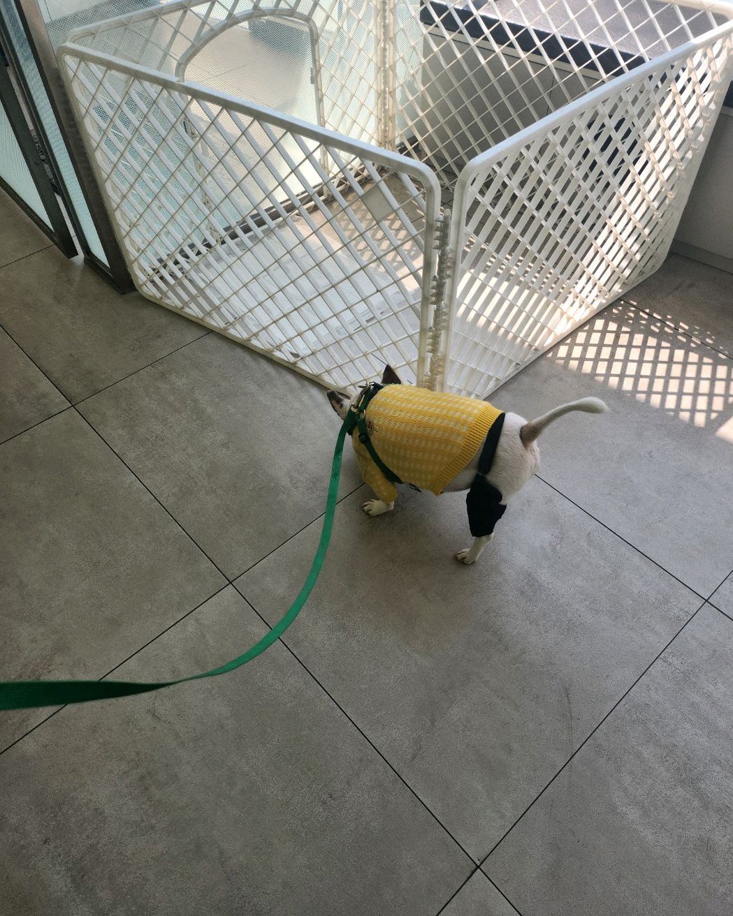리뷰 사진 1