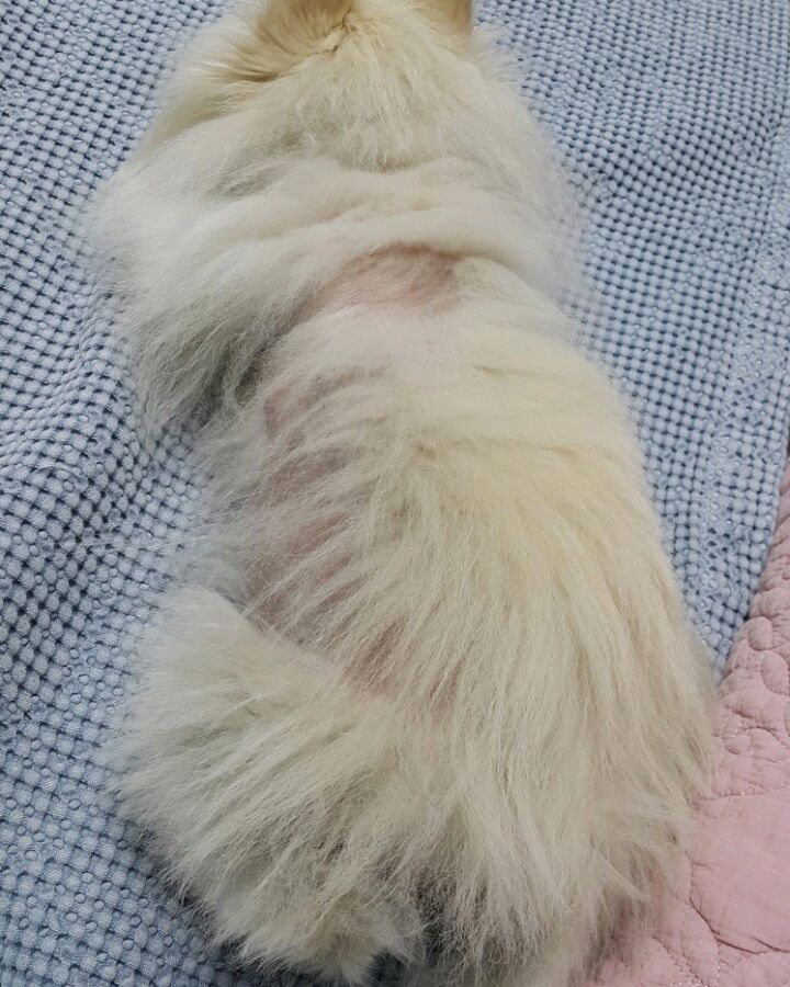 리뷰 사진 1