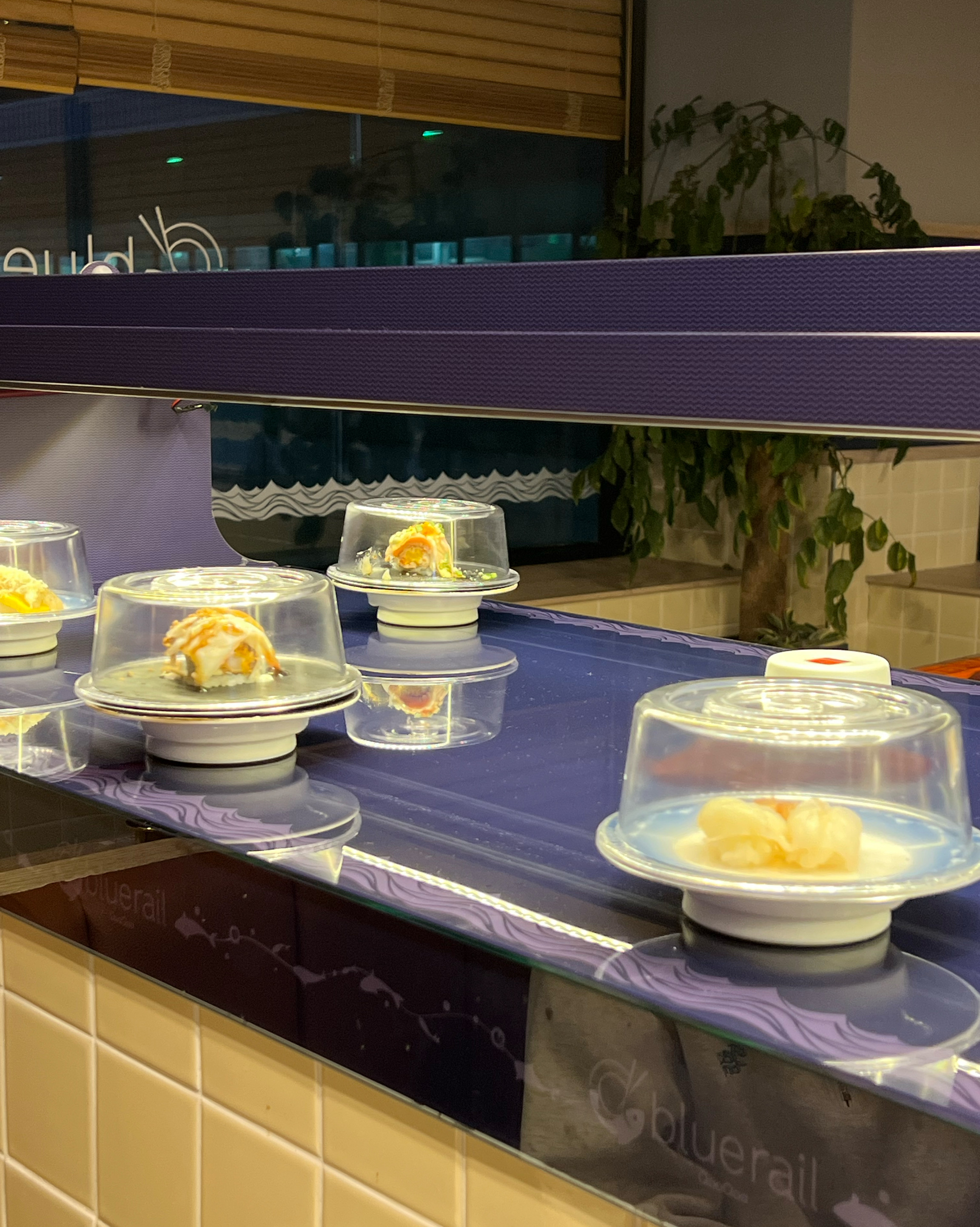 건대입구역 맛집 쿠우쿠우 블루레일 건대직영점 내돈내산 찐리뷰