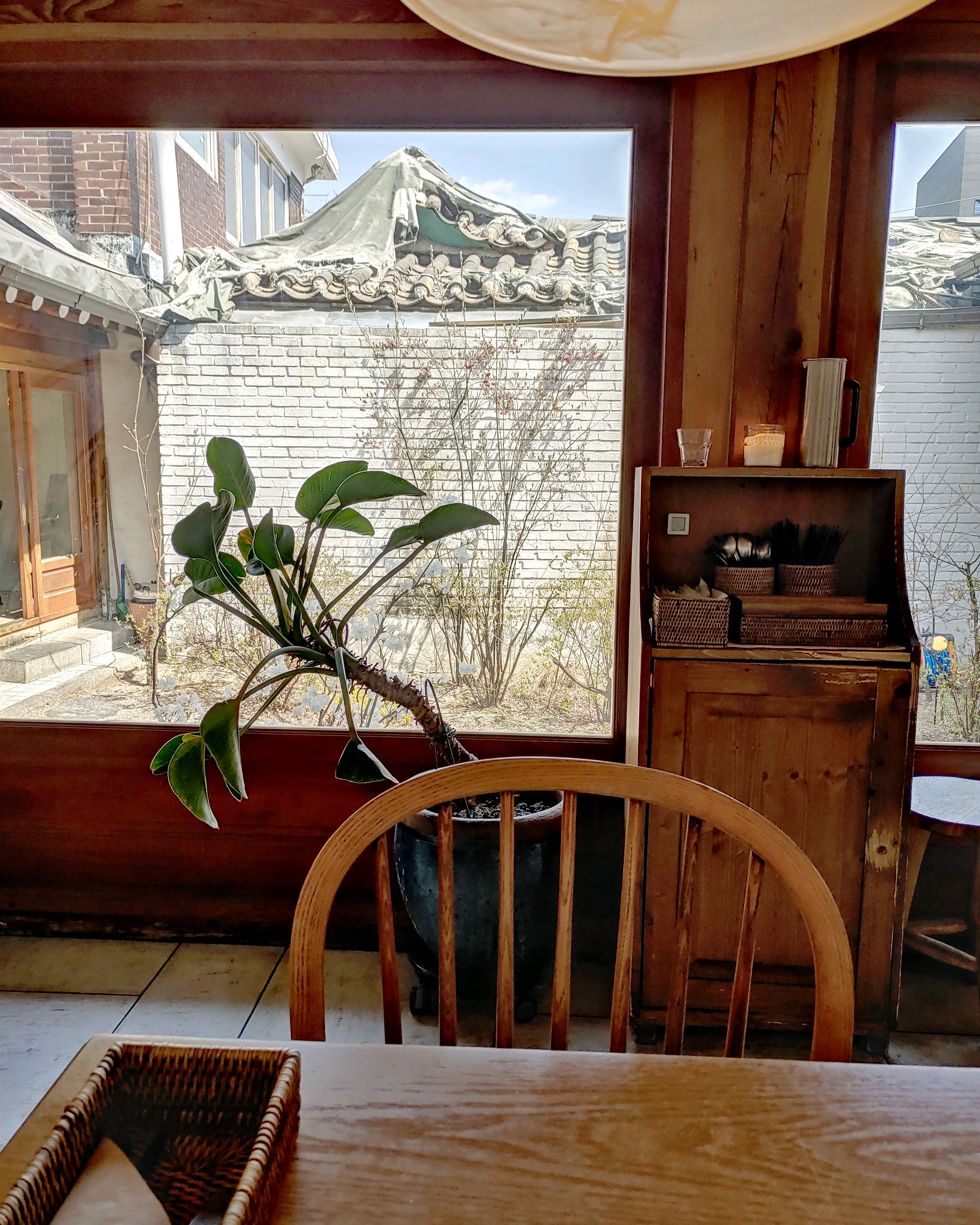 [광화문 맛집 호호식당 익선] 직접 가본 로컬 리뷰