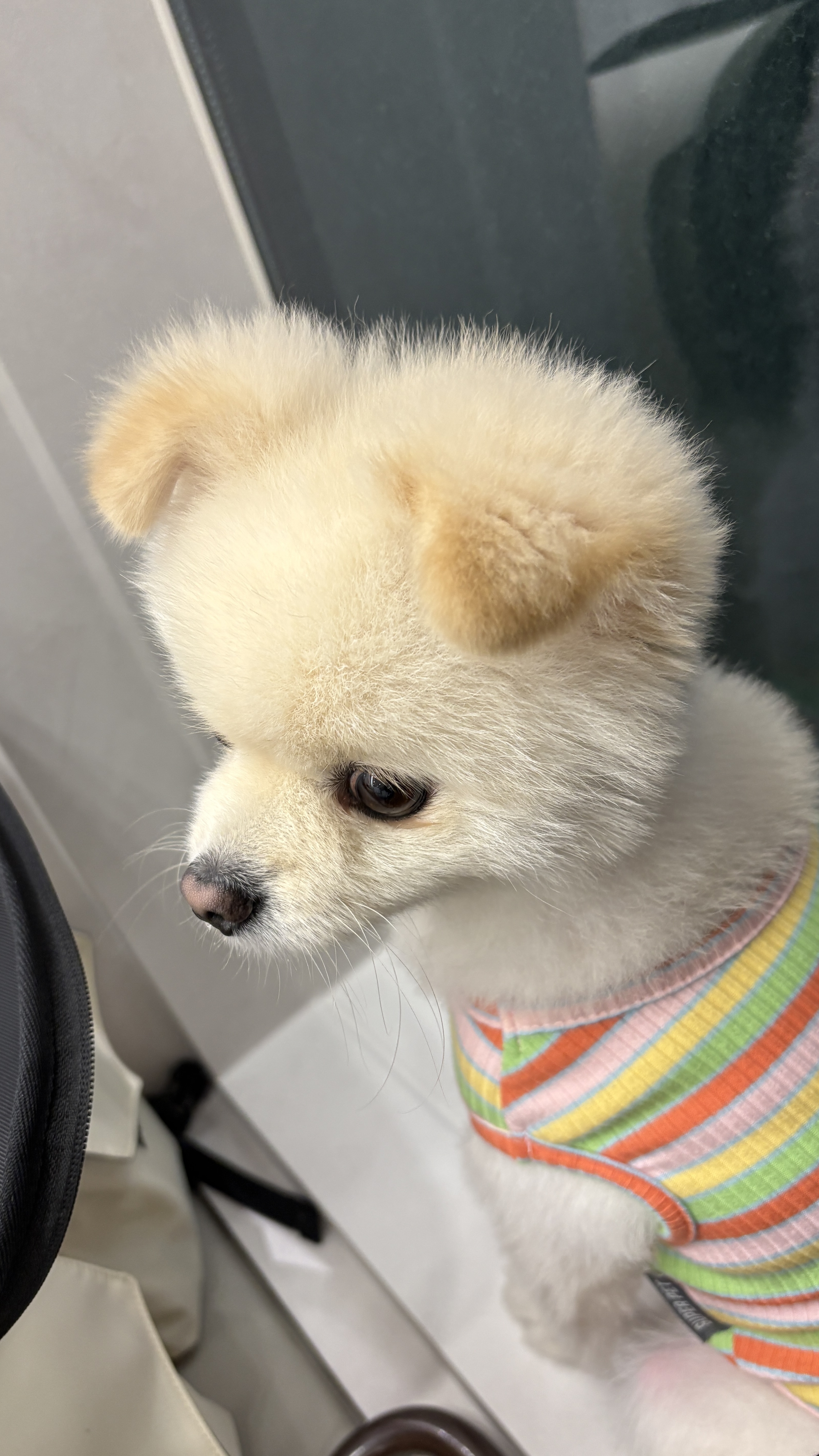 리뷰 사진 1